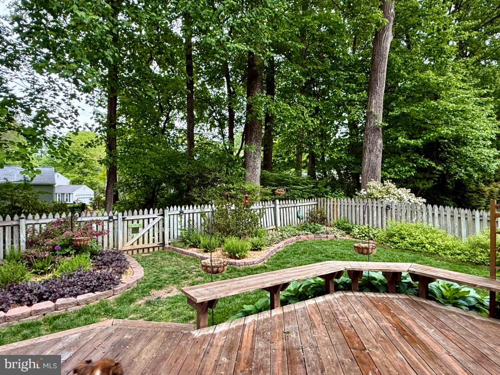10012 WOOD SORRELS LANE