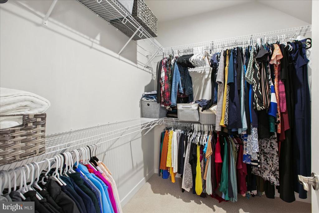 4153 RED MULBERRY DRIVE Unit: 20