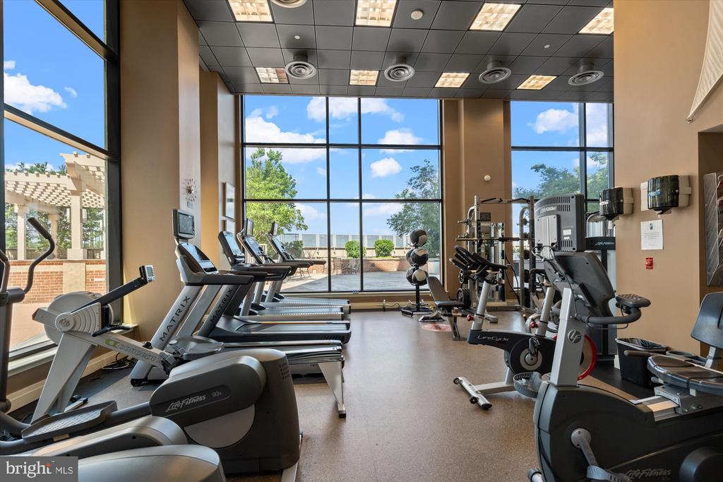 2451 MIDTOWN AVENUE Unit: 917