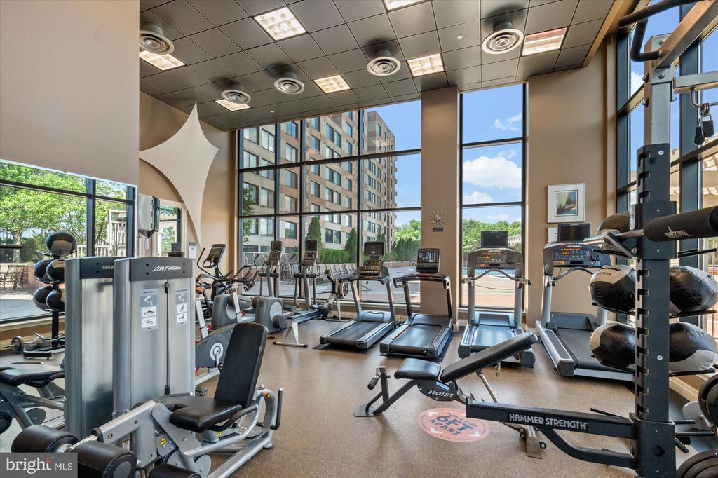 2451 MIDTOWN AVENUE Unit: 917