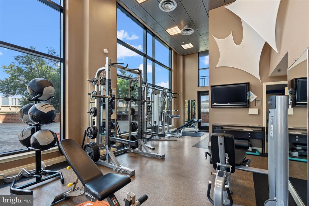 2451 MIDTOWN AVENUE Unit: 917