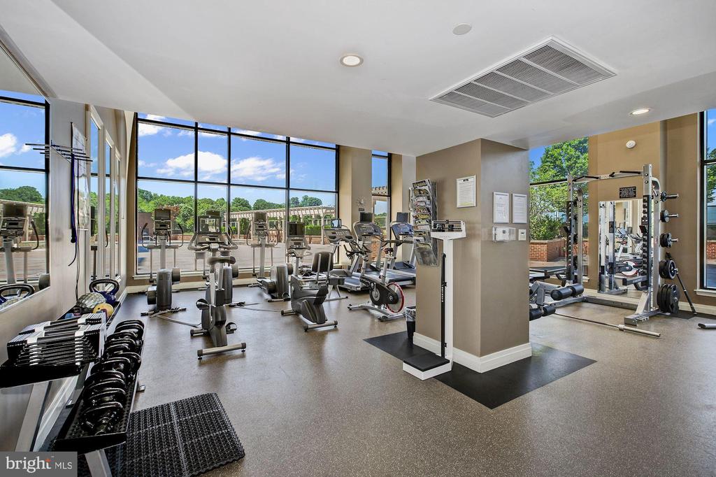 2451 MIDTOWN AVENUE Unit: 917