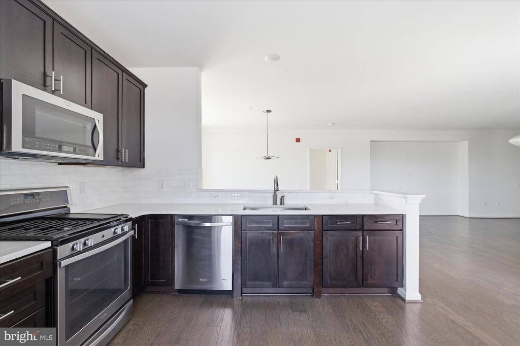 20650 HOPE SPRING TERRACE 301
