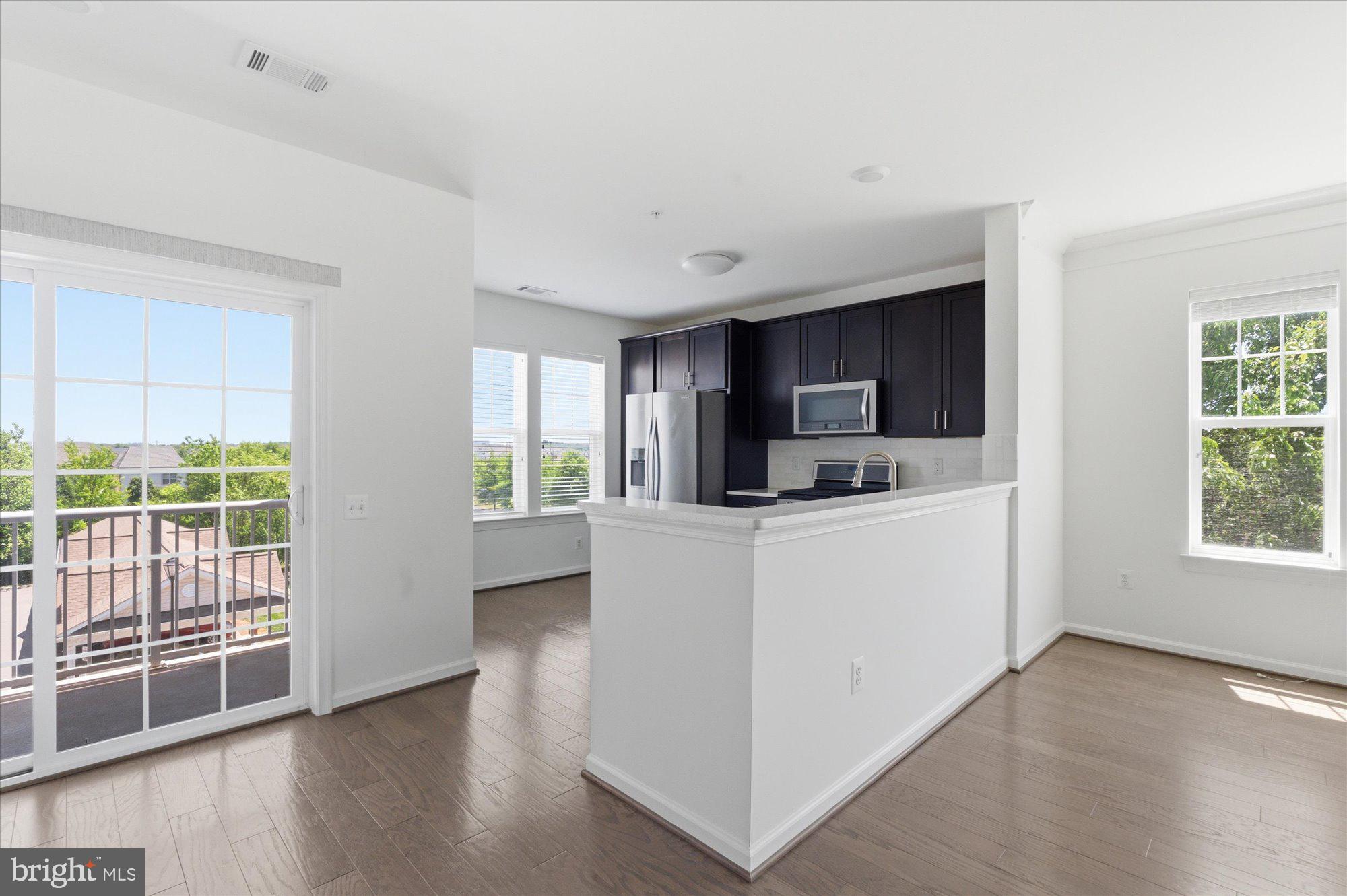 20650 HOPE SPRING TERRACE 301