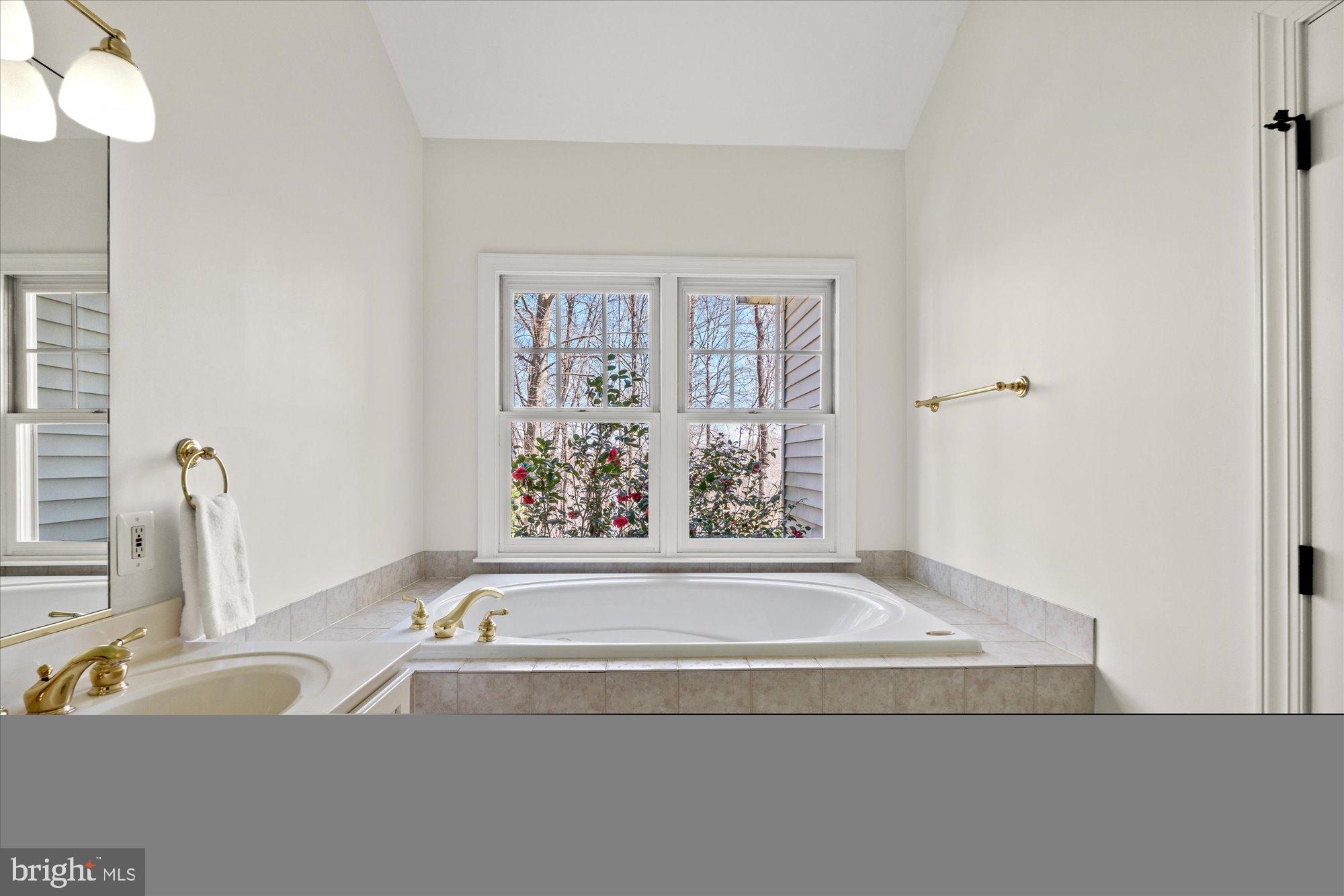 11419 OCCOQUAN OAKS LANE