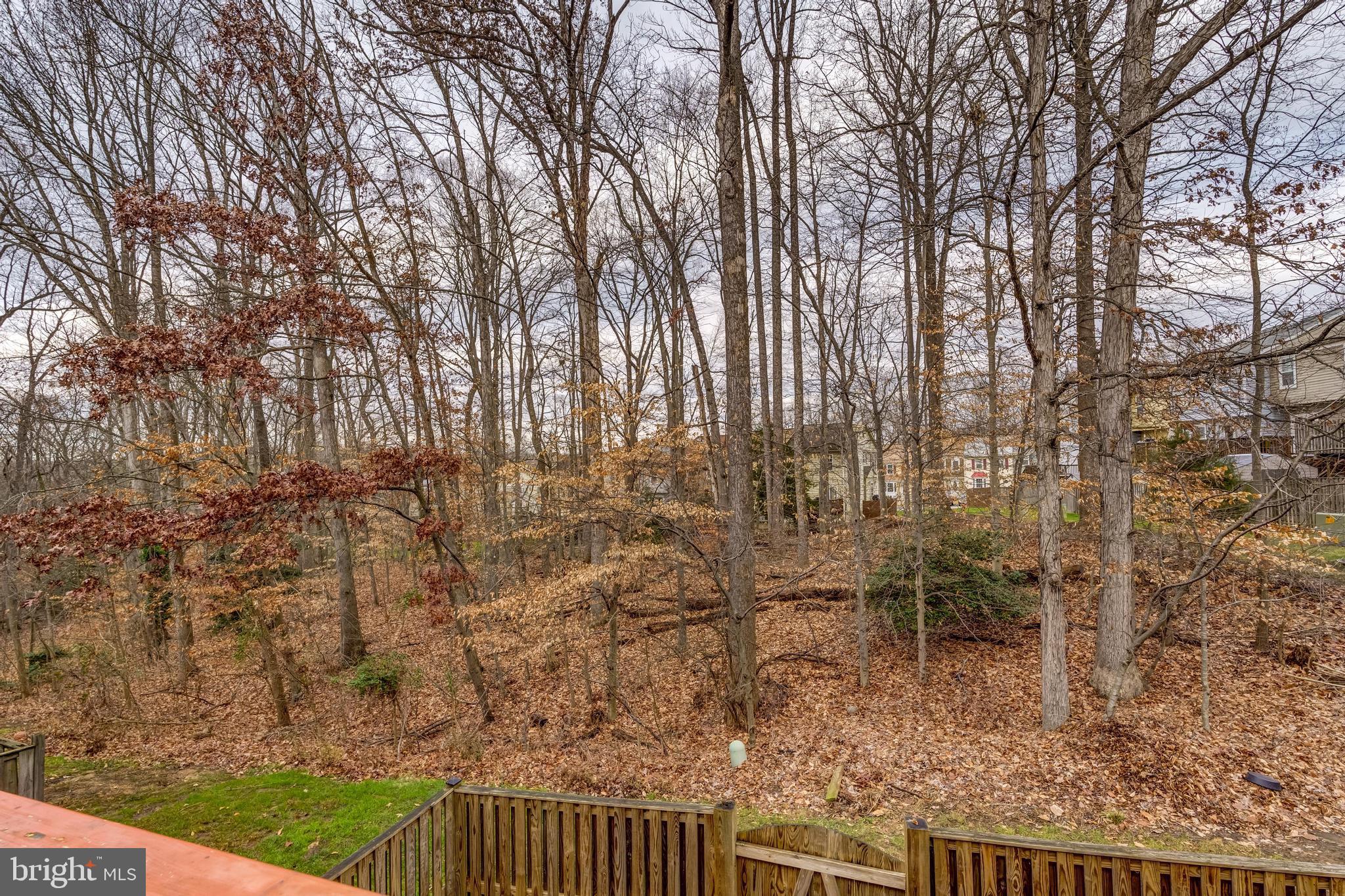 11809 GOLDEN EAGLE COURT