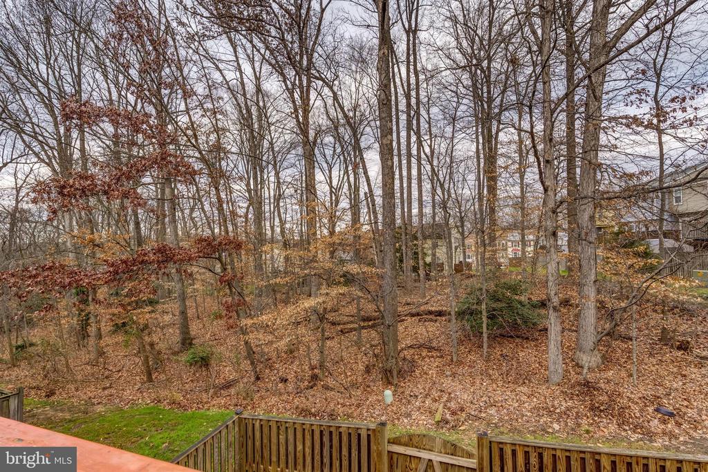 11809 GOLDEN EAGLE COURT