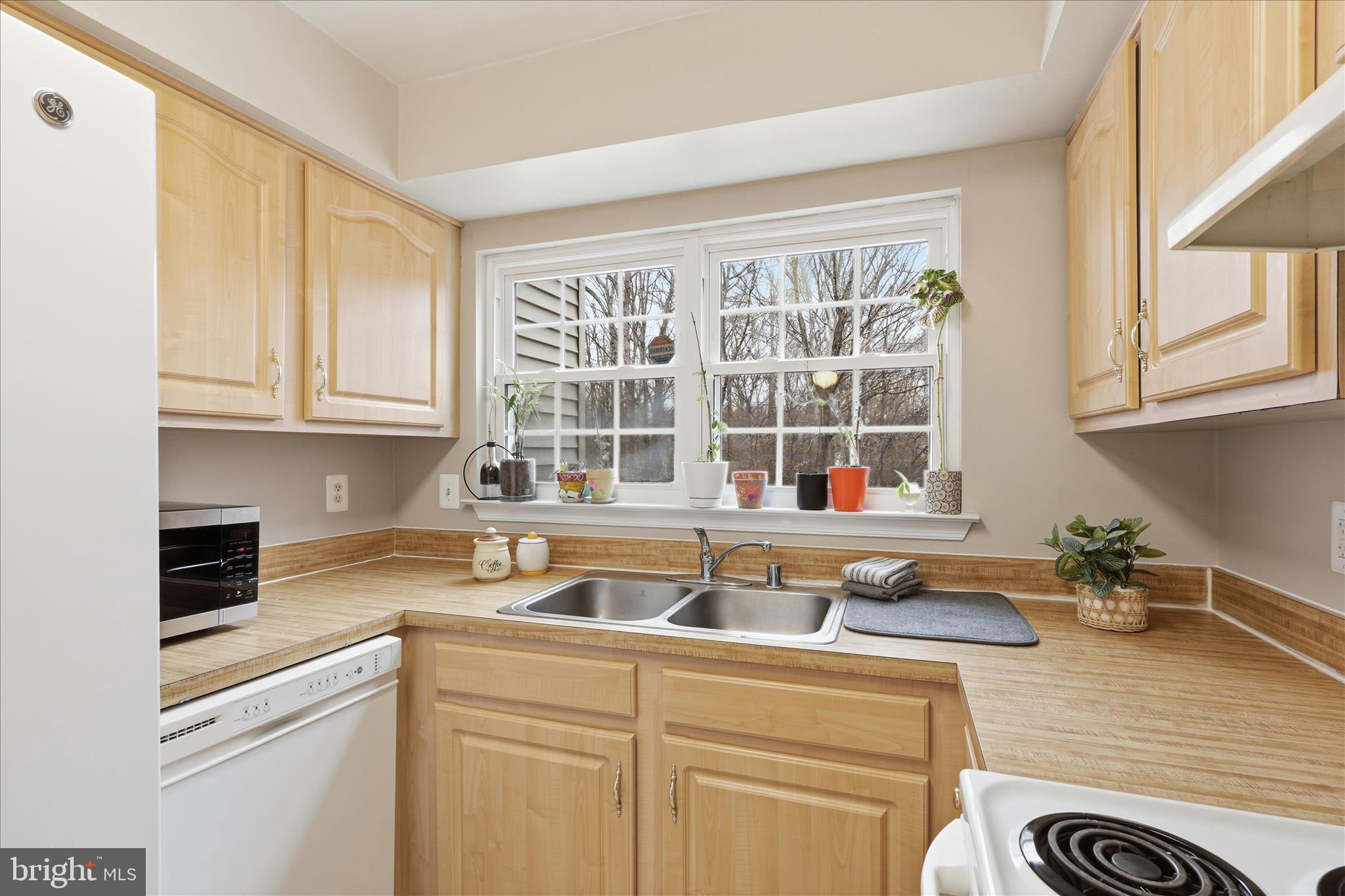 12161 CHAUCER LANE 12161