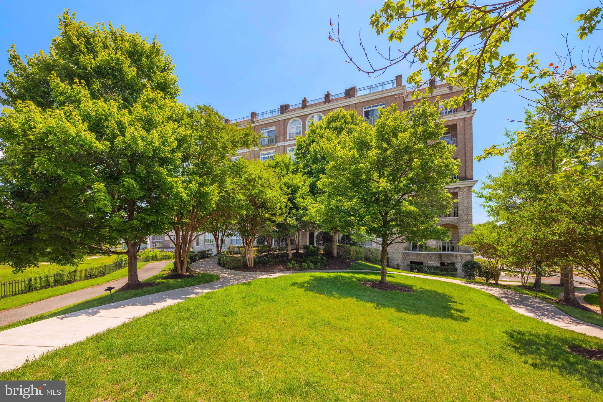 810 BELMONT BAY DRIVE 201