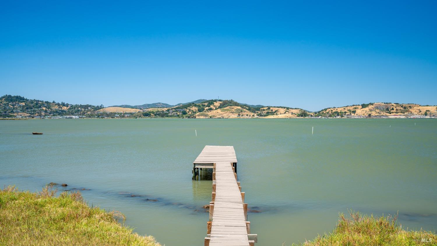 231 Golden Hind Psge