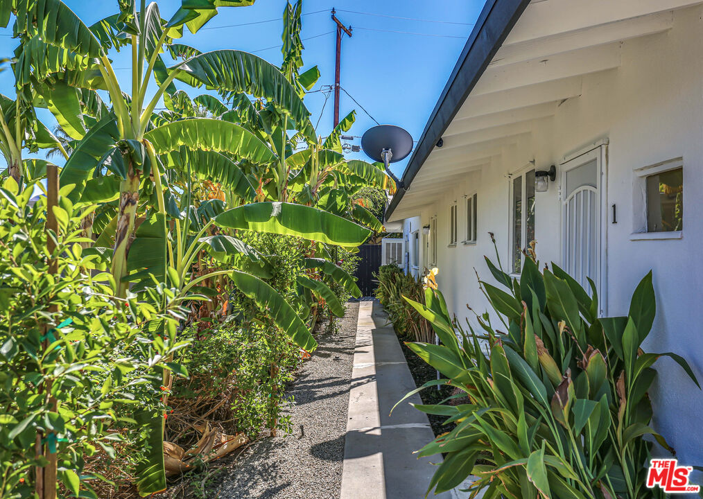 459 E Avenida Olancha Unit: 1