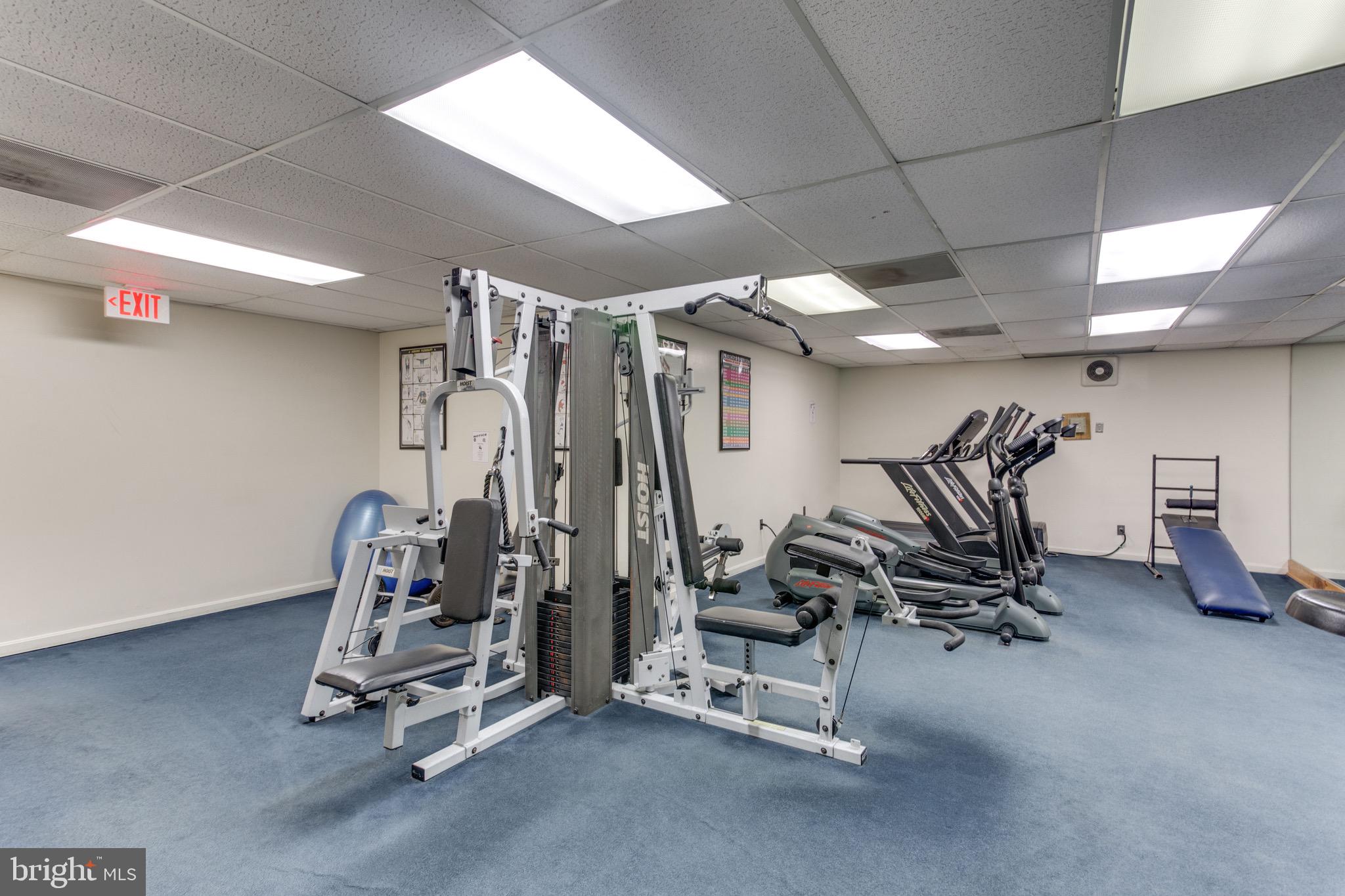 3000 Spout Run Pkwy #B502