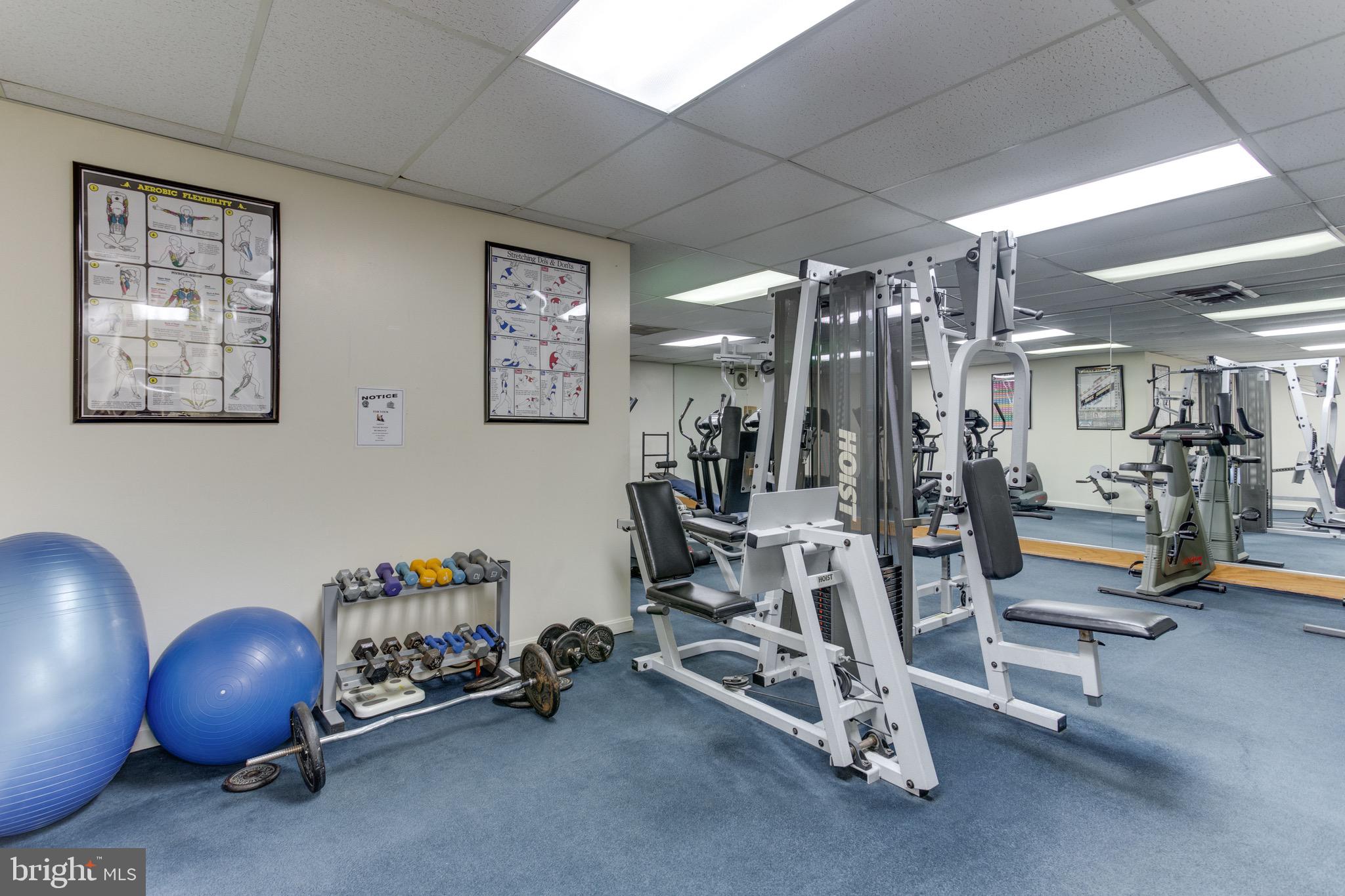 3000 Spout Run Pkwy #B502