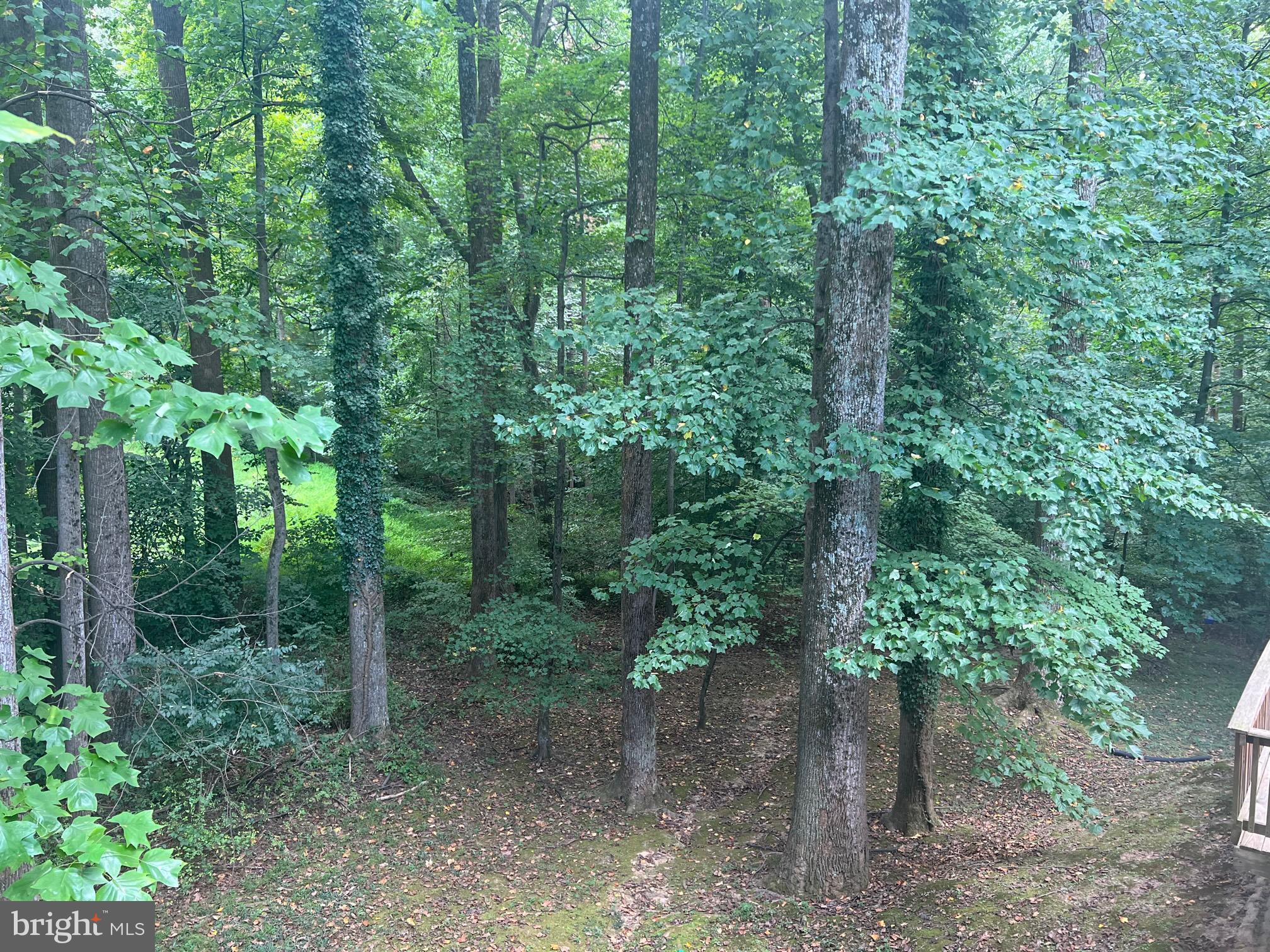 10917 Santa Clara Dr Dr