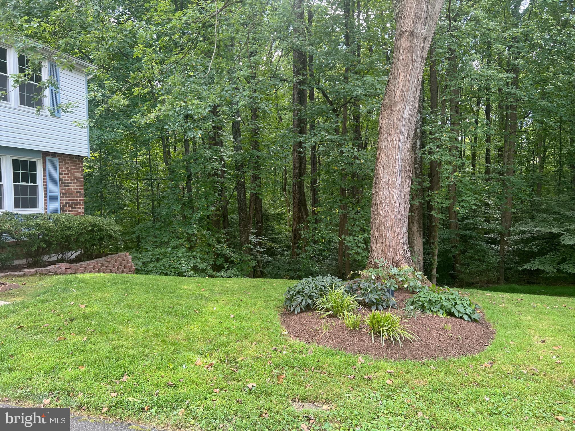 10917 Santa Clara Dr Dr