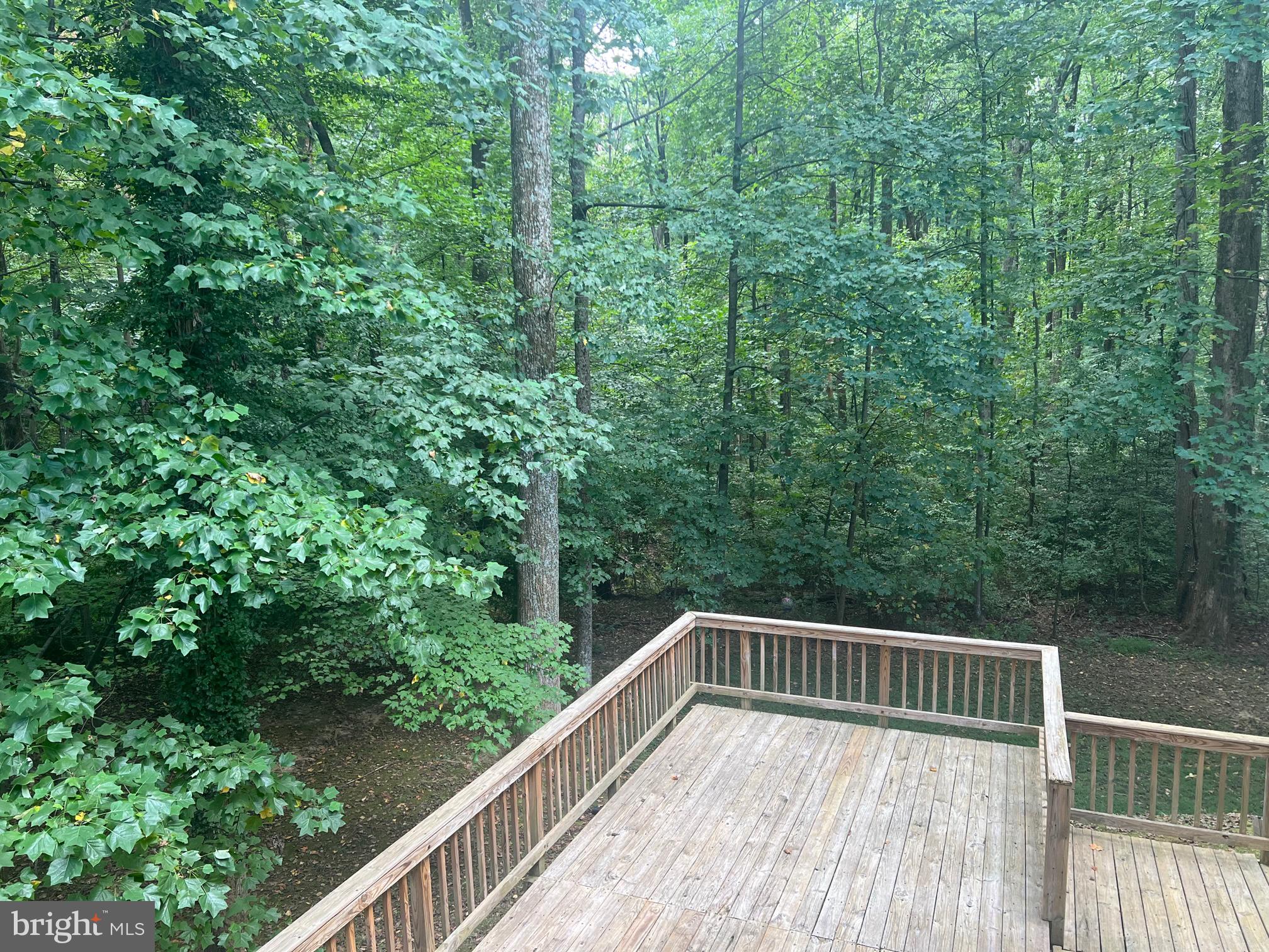 10917 Santa Clara Dr Dr