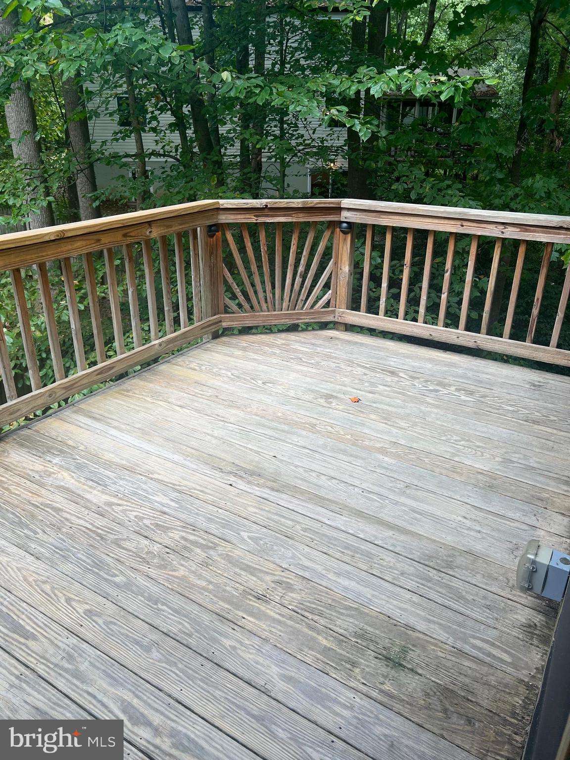 10917 Santa Clara Dr Dr