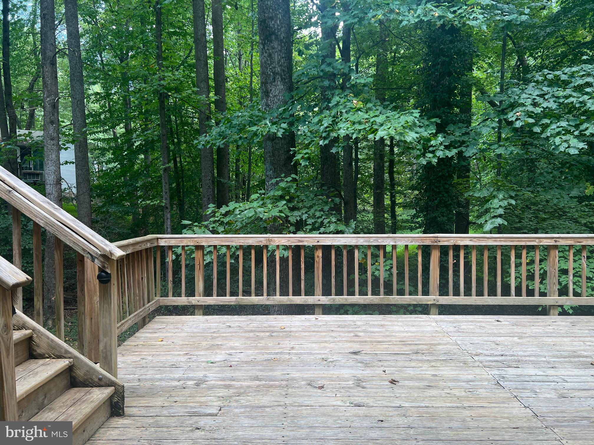 10917 Santa Clara Dr Dr