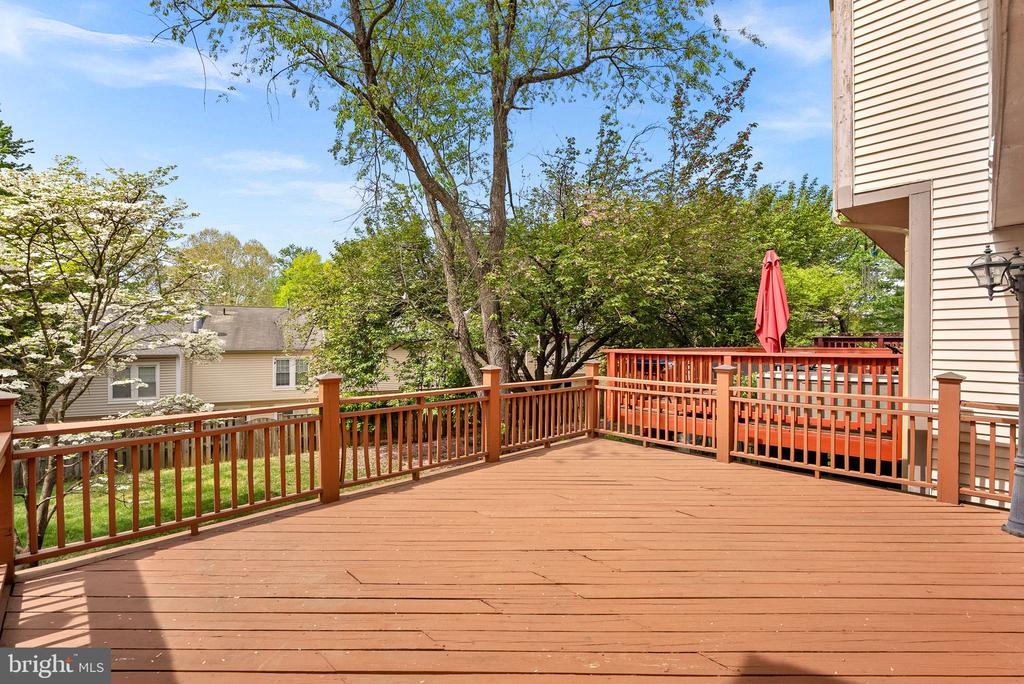 12541 ALDER WOODS DRIVE