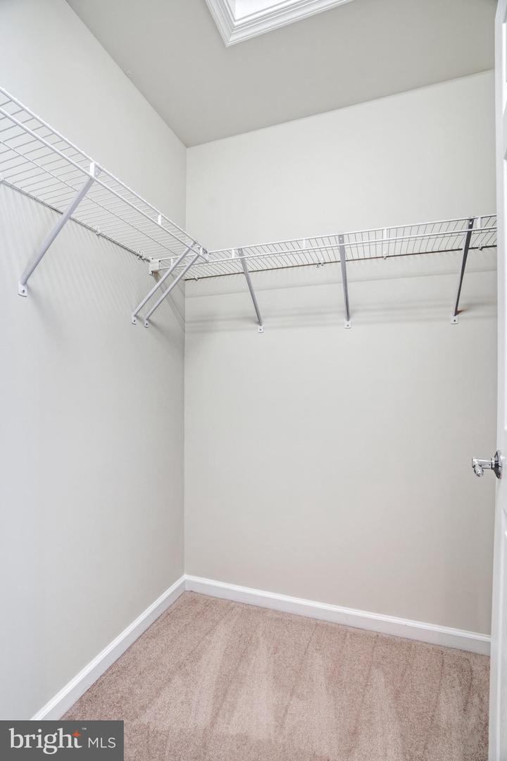 22442 Snow Powder Ter