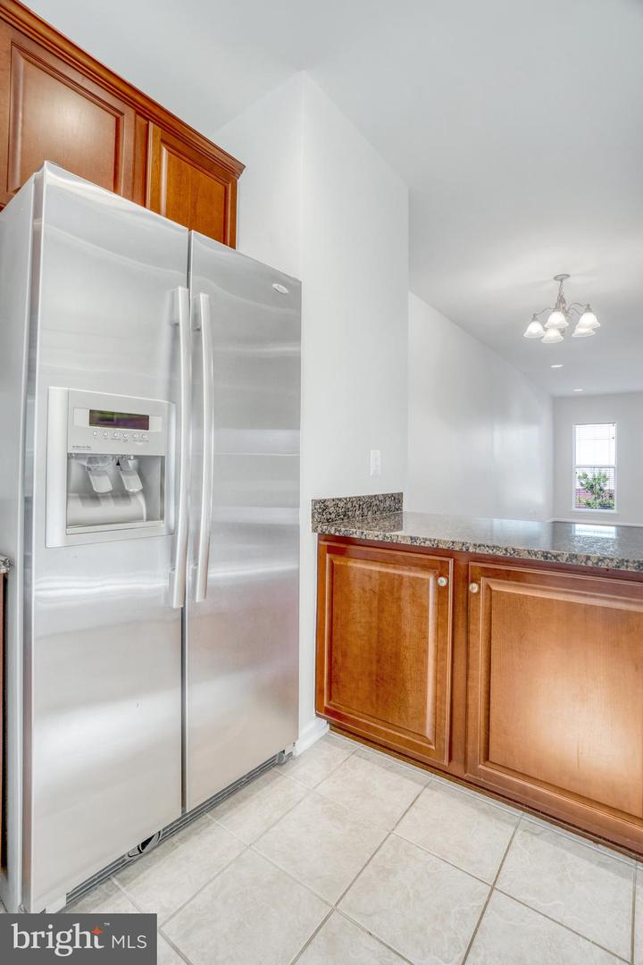 22442 Snow Powder Ter