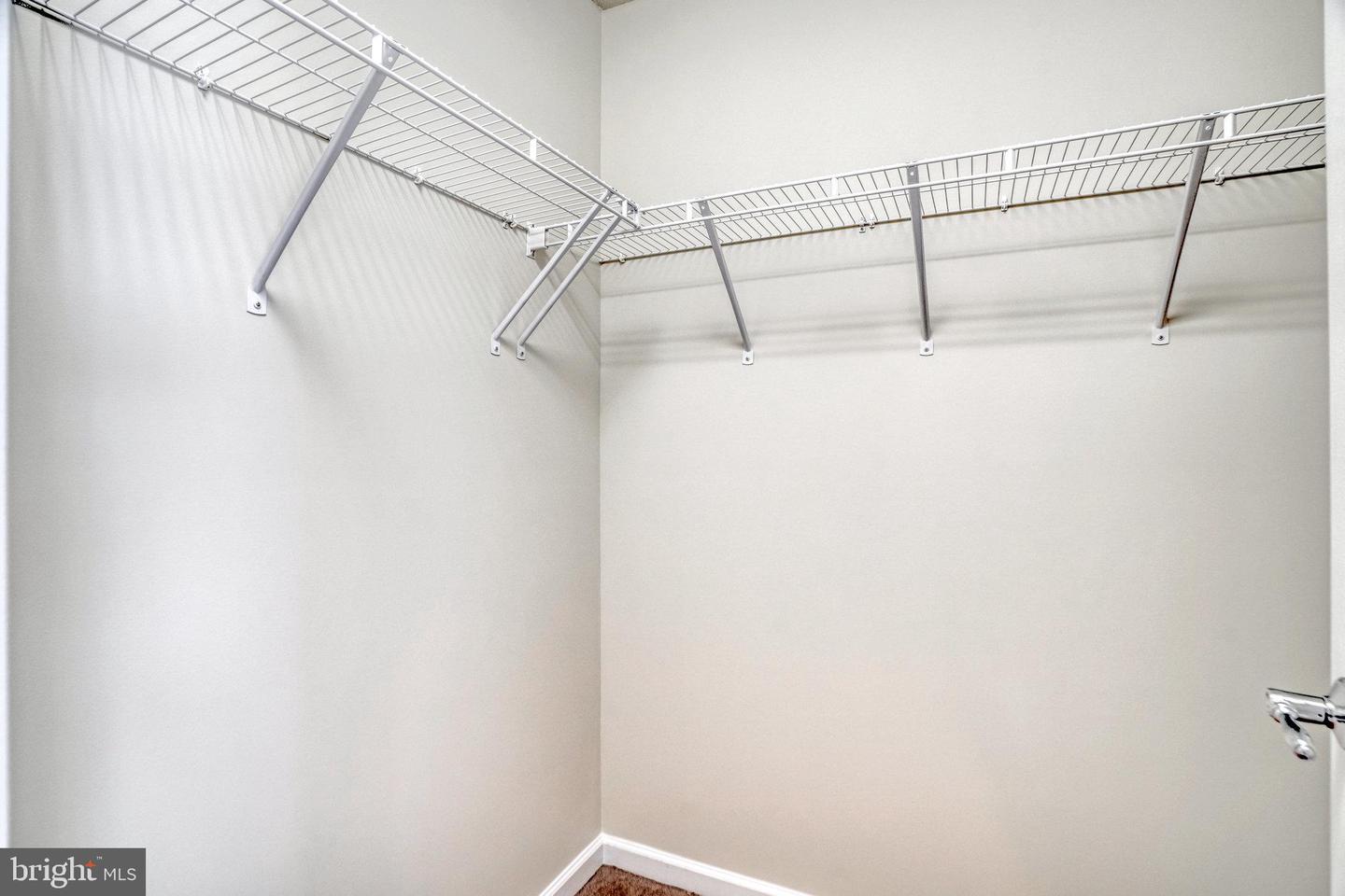 22442 Snow Powder Ter