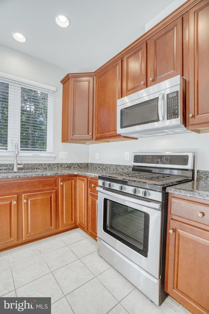 22442 Snow Powder Ter