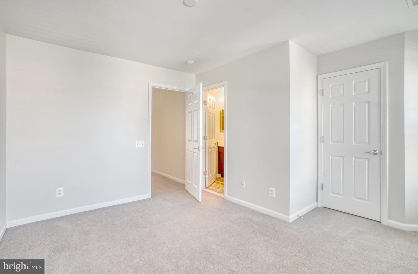 22442 Snow Powder Ter