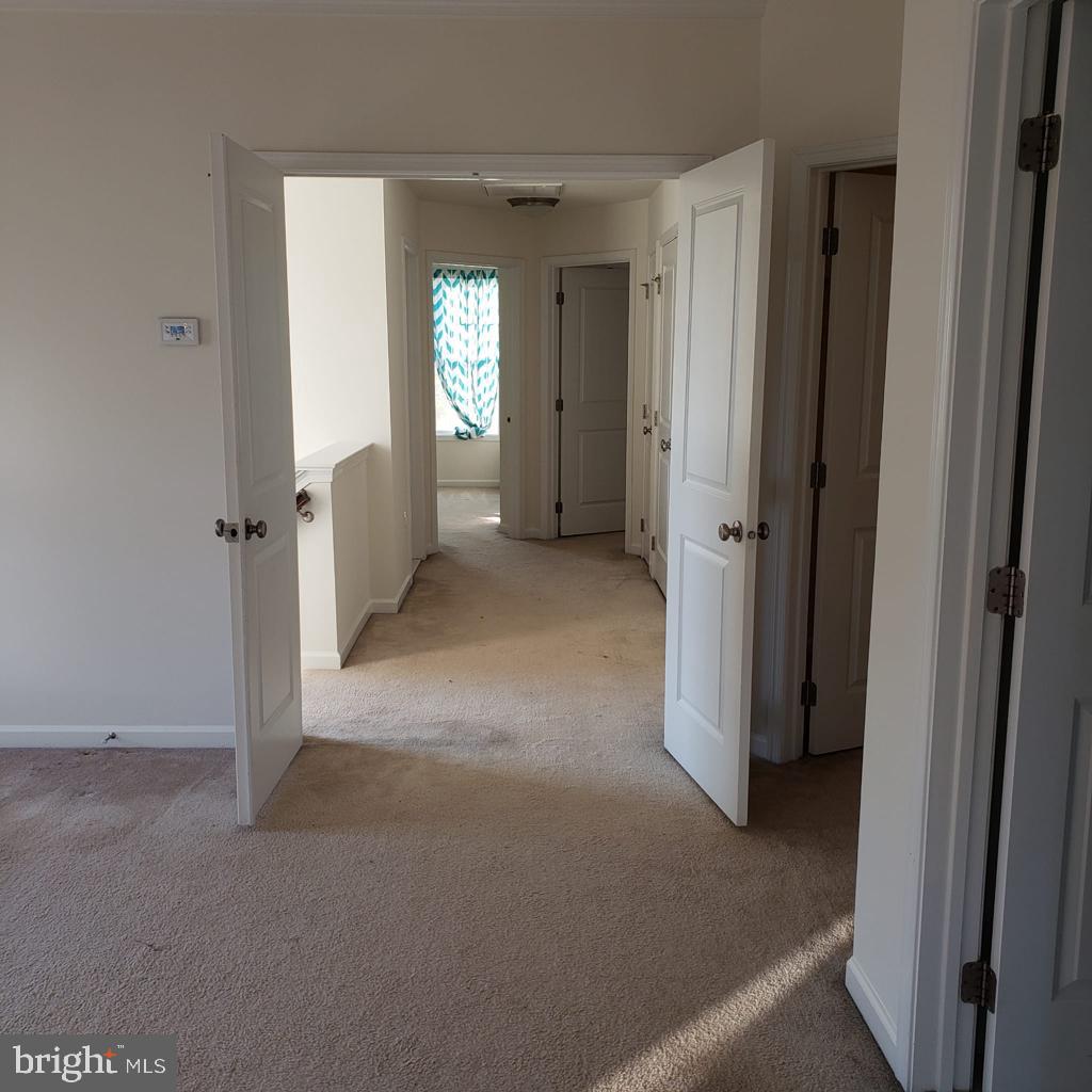 23409 Berkeley Meadows Dr