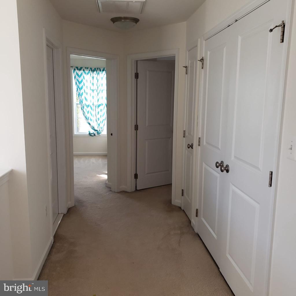 23409 Berkeley Meadows Dr