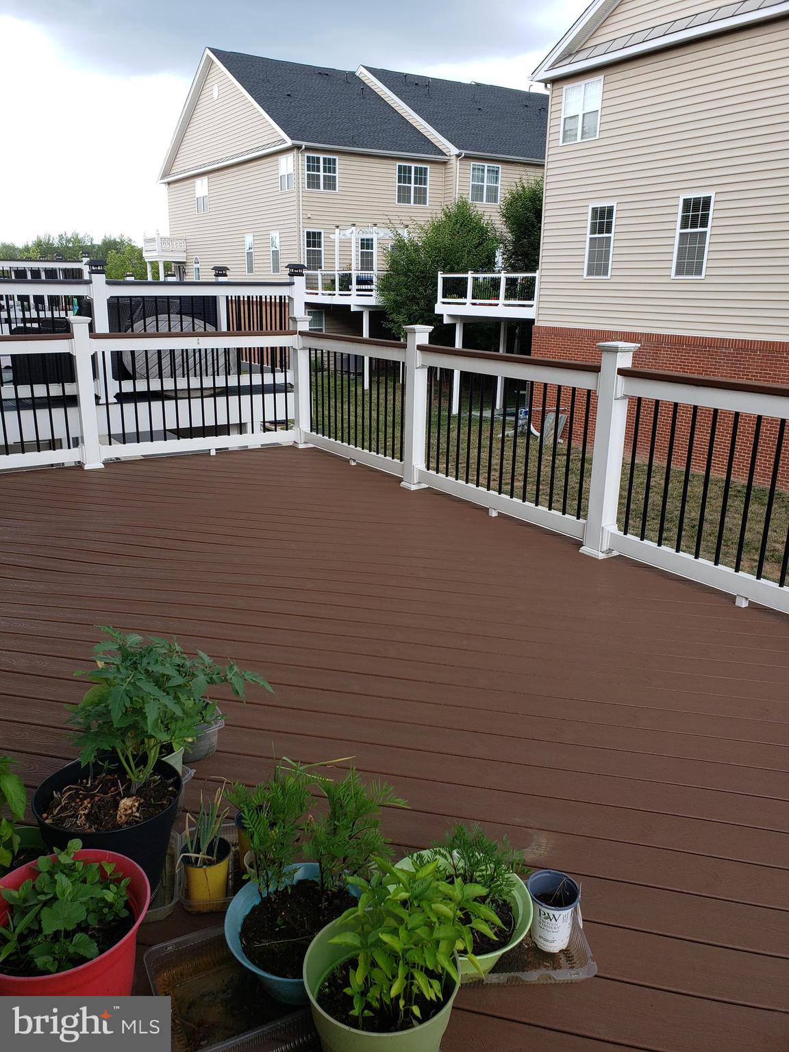 23409 Berkeley Meadows Dr