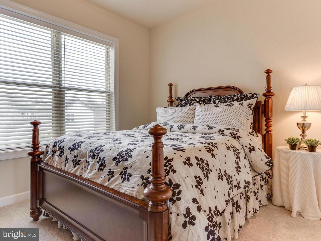 20752 Jennifer Ann Dr