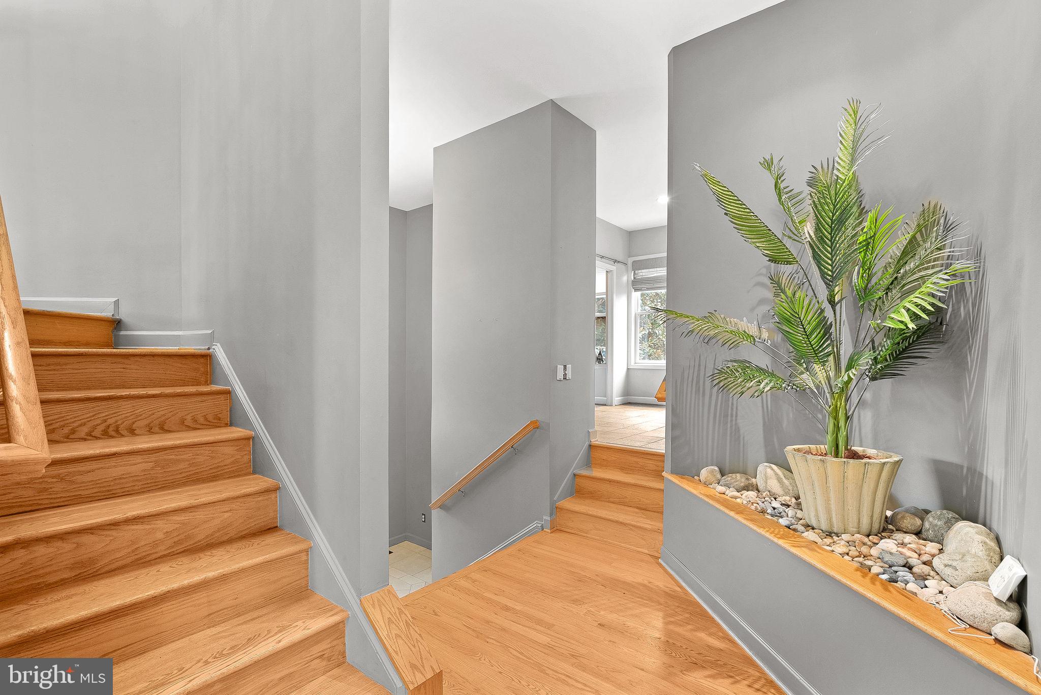 19451 YOUNGS CLIFF ROAD