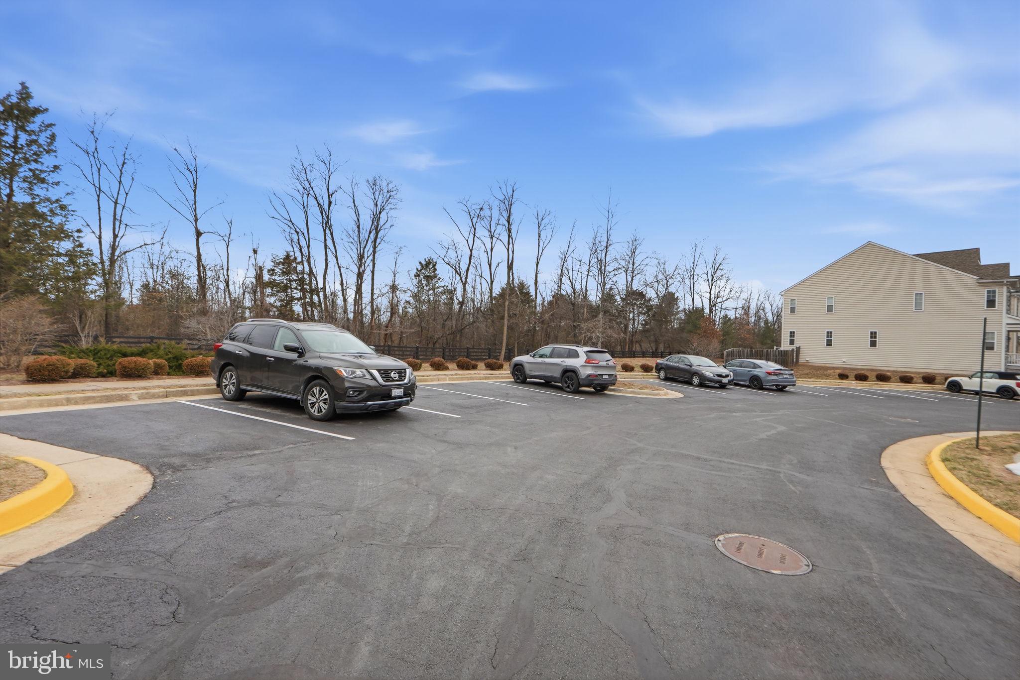 43593 MIRROR TERRACE