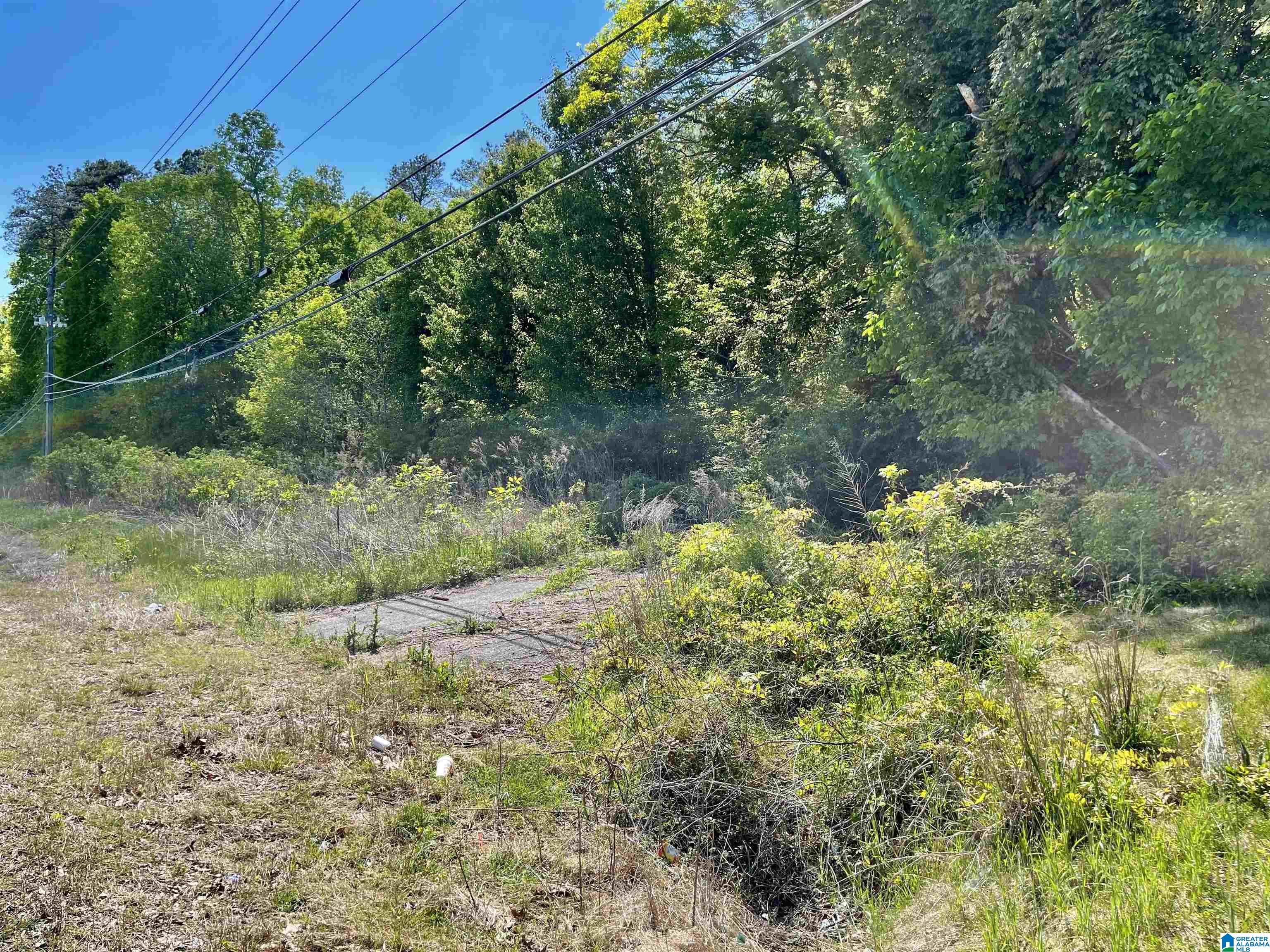 7228 OLD SPRINGVILLE ROAD 0