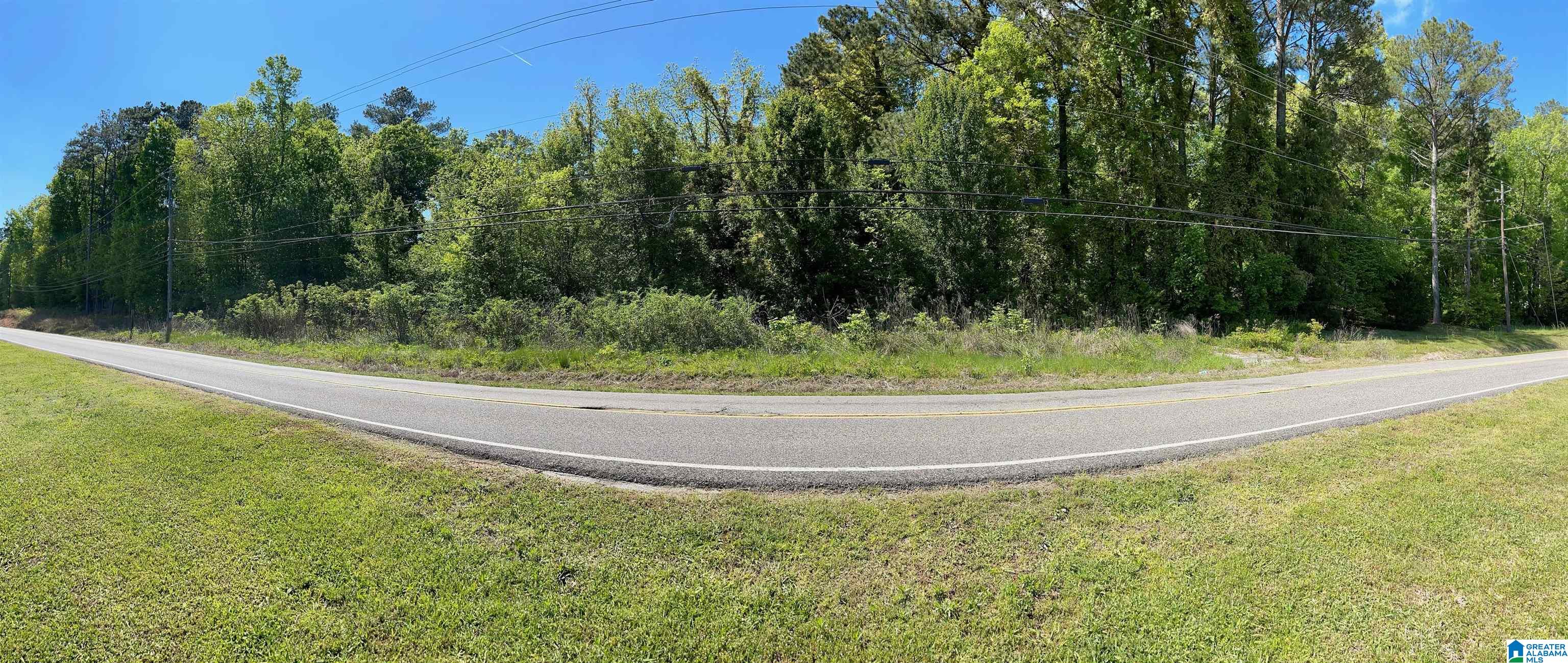 7228 OLD SPRINGVILLE ROAD 0