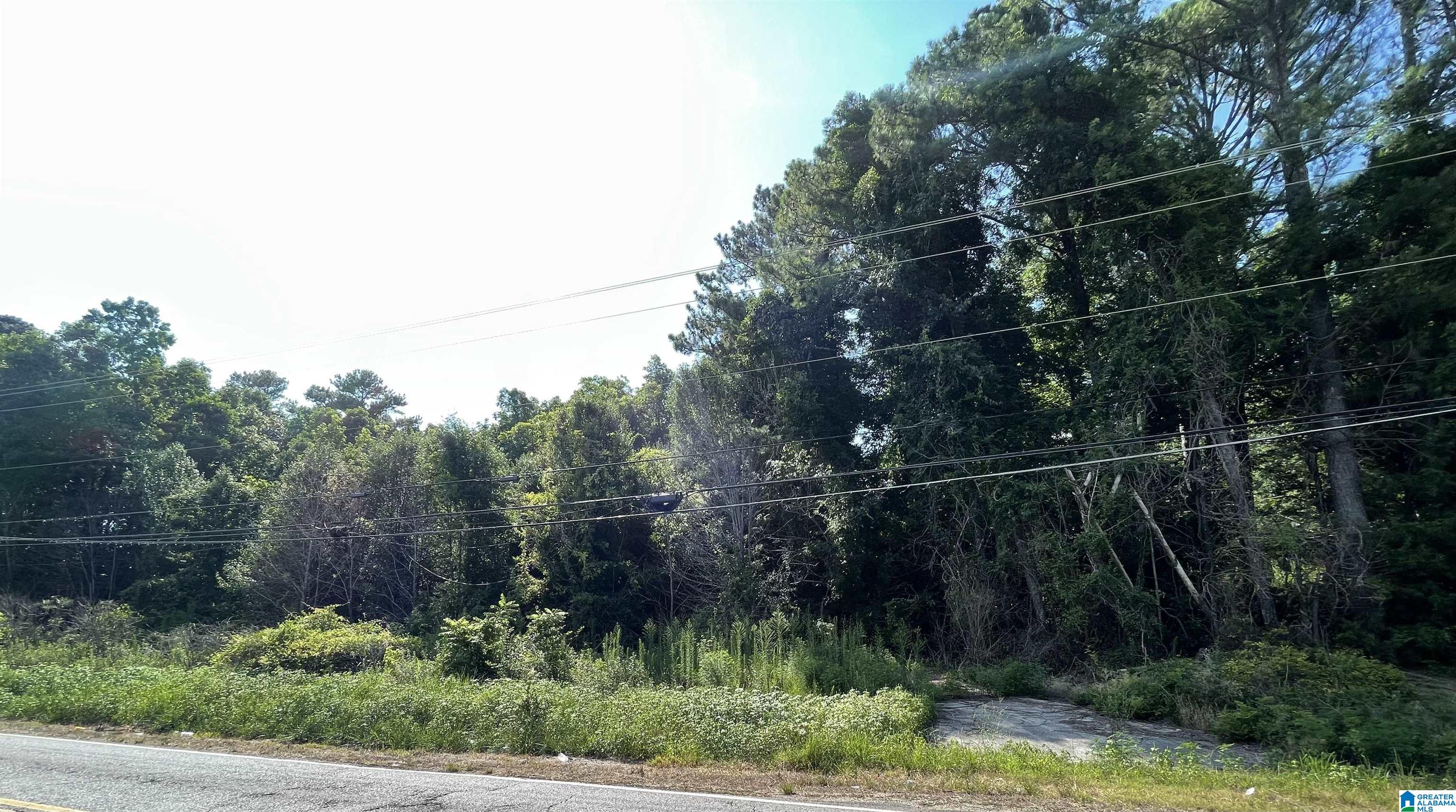 7228 OLD SPRINGVILLE ROAD 0