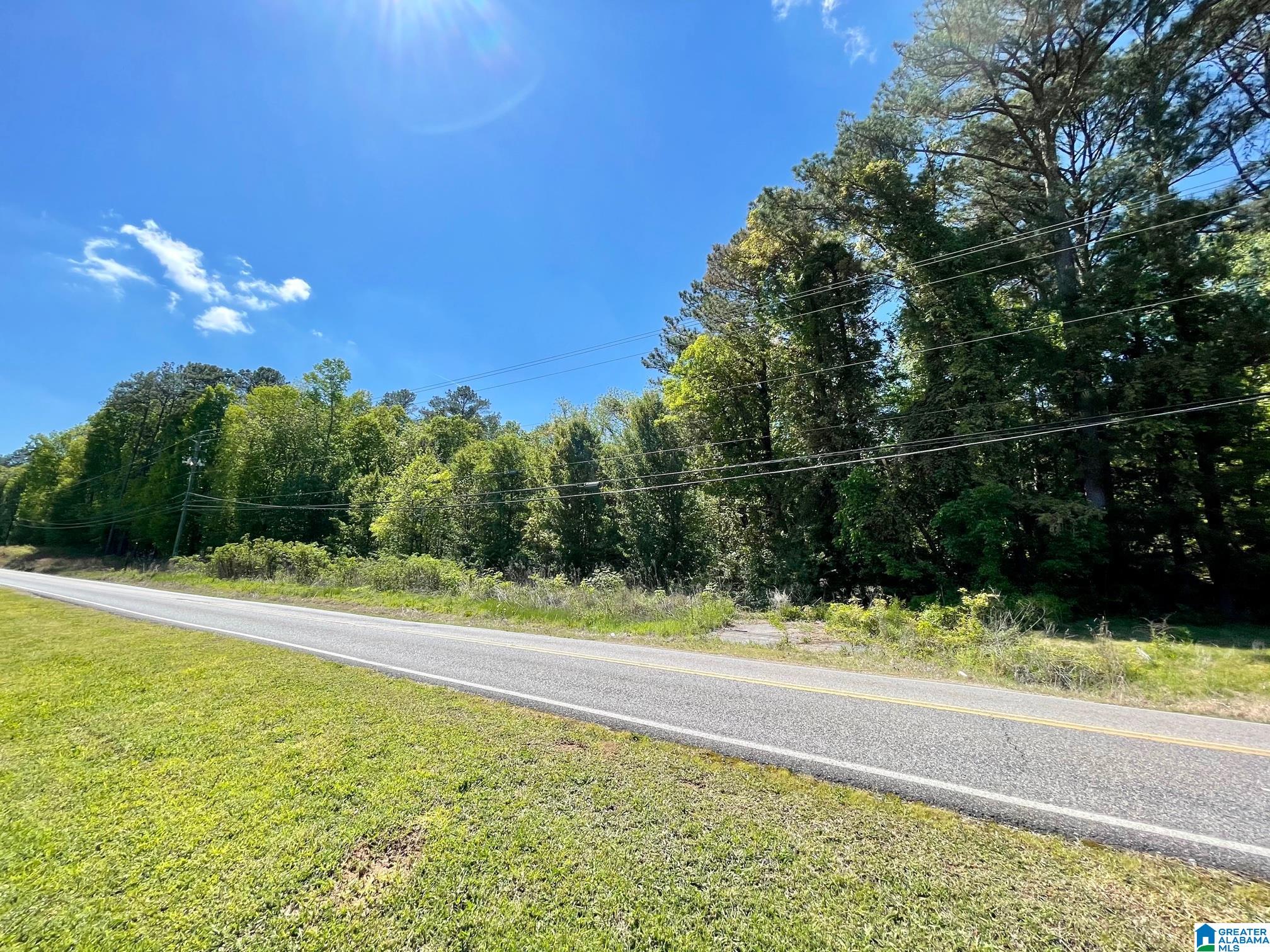 7228 OLD SPRINGVILLE ROAD 0