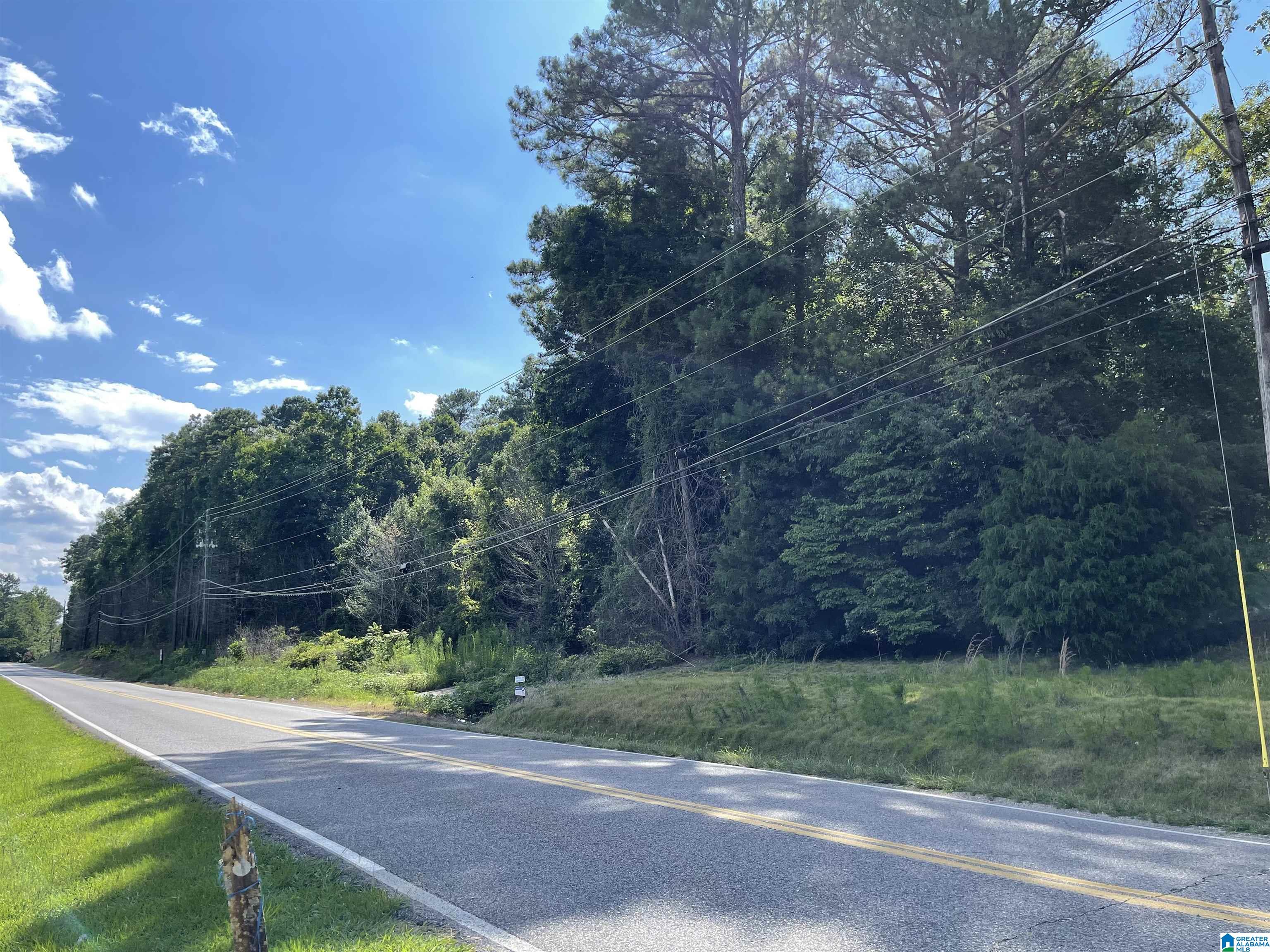 7228 OLD SPRINGVILLE ROAD 0