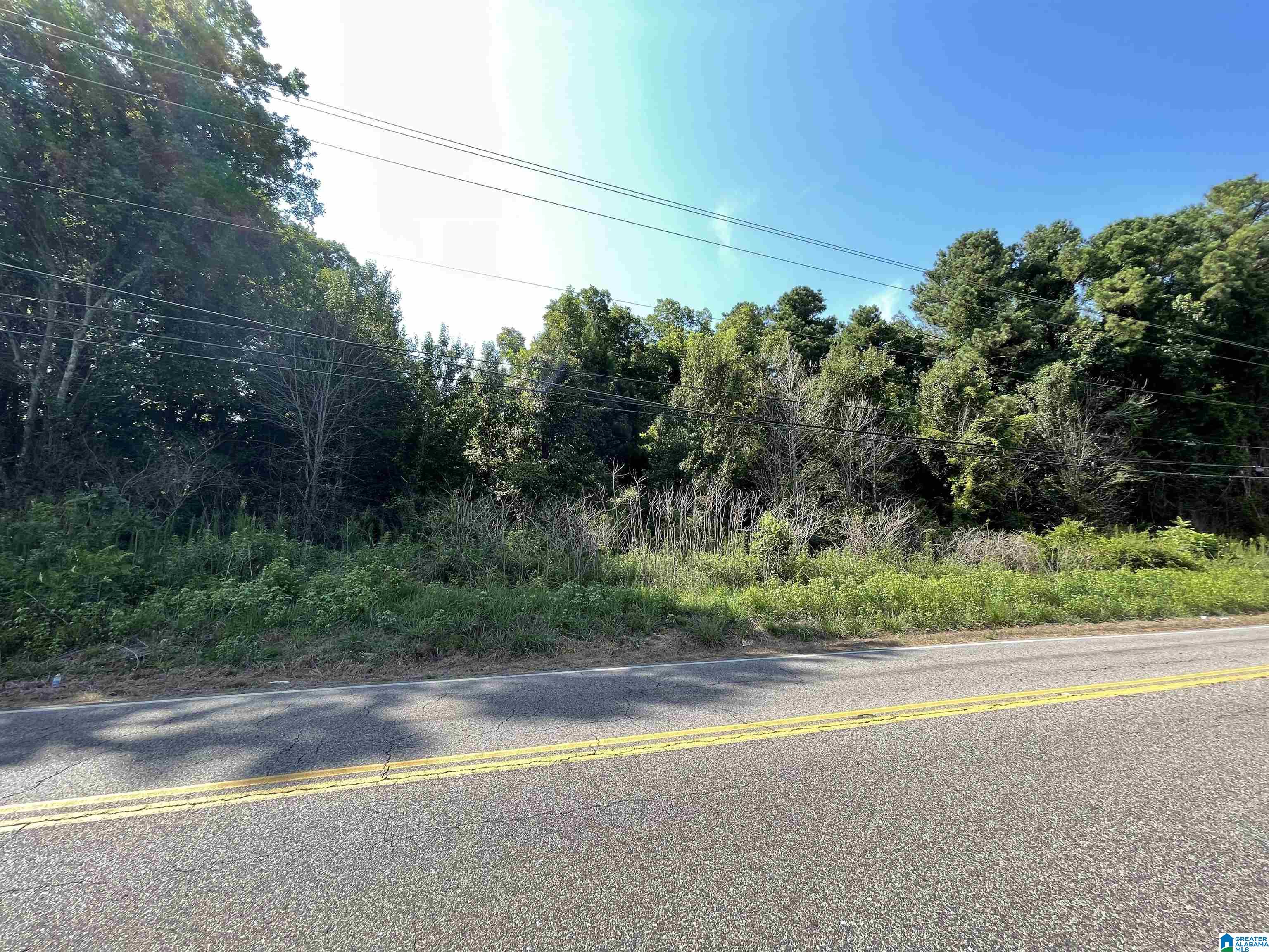 7228 OLD SPRINGVILLE ROAD 0