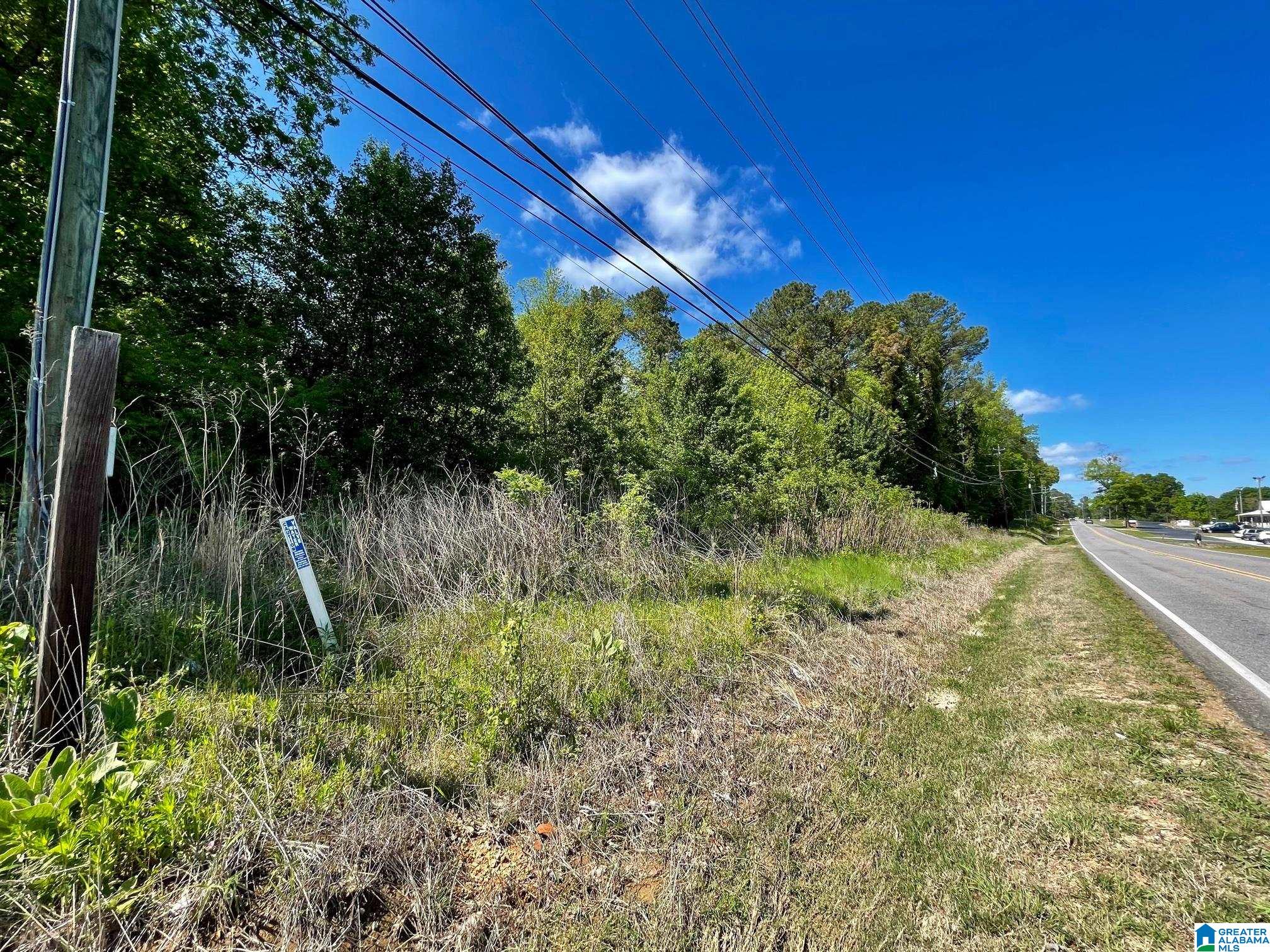 7228 OLD SPRINGVILLE ROAD 0