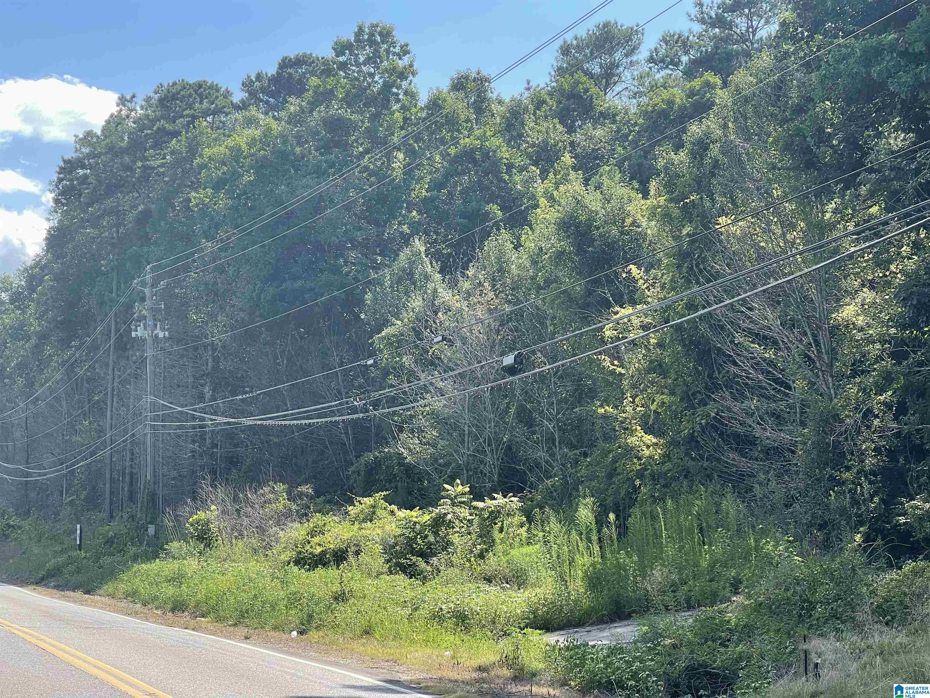 7228 OLD SPRINGVILLE ROAD 0