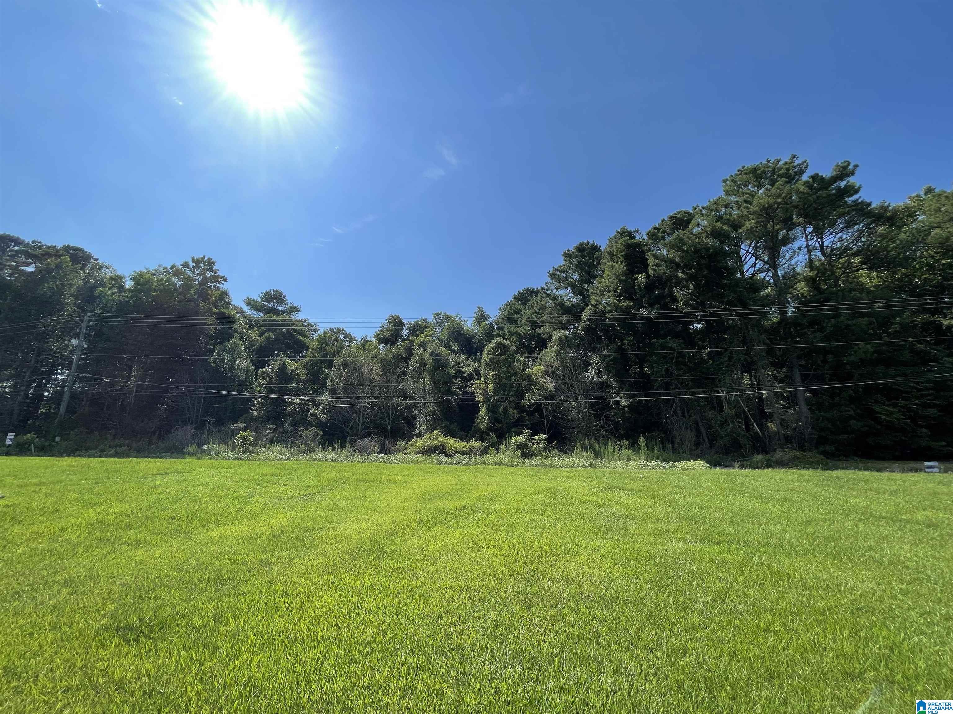 7228 OLD SPRINGVILLE ROAD 0