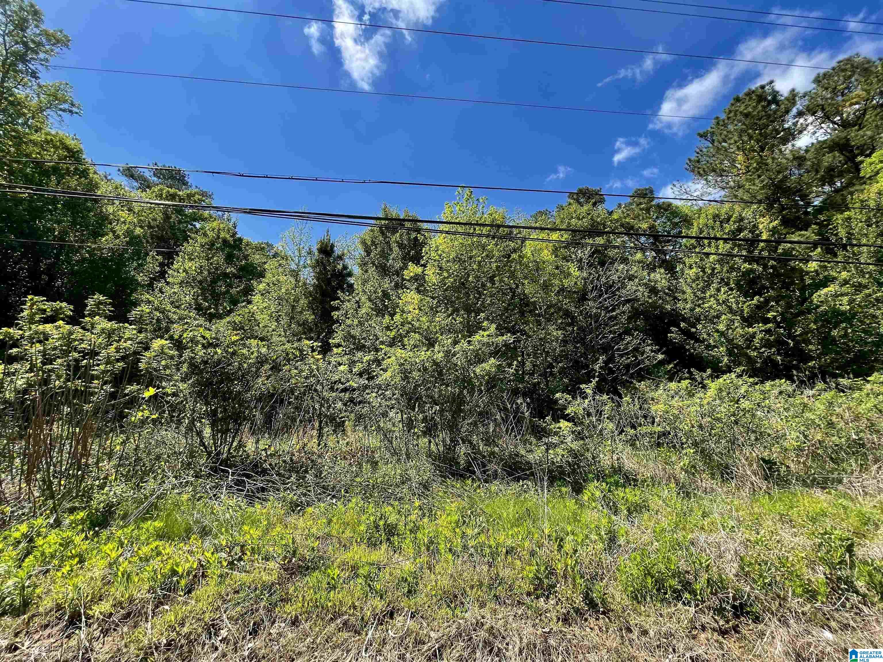 7228 OLD SPRINGVILLE ROAD 0