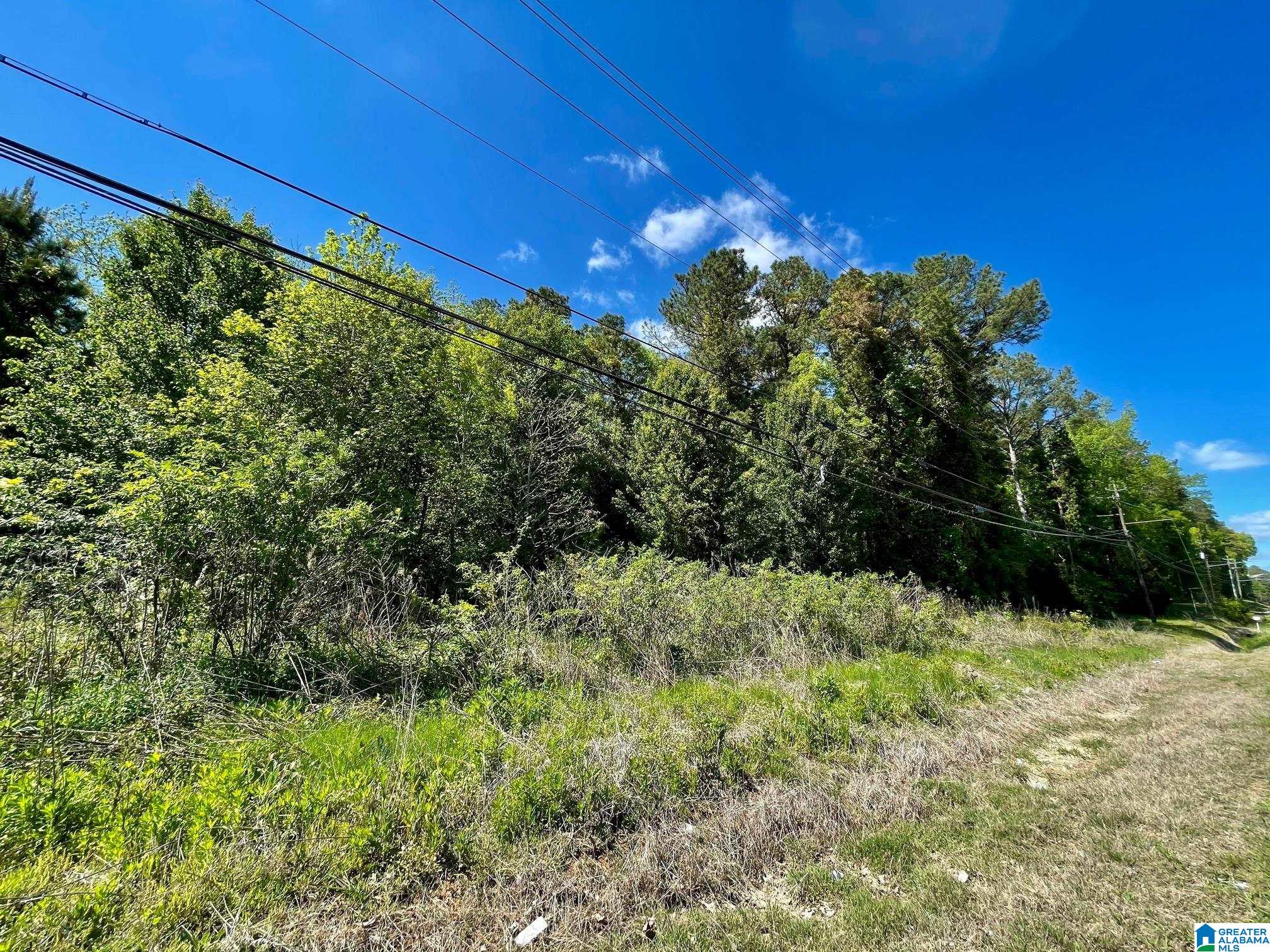 7228 OLD SPRINGVILLE ROAD 0