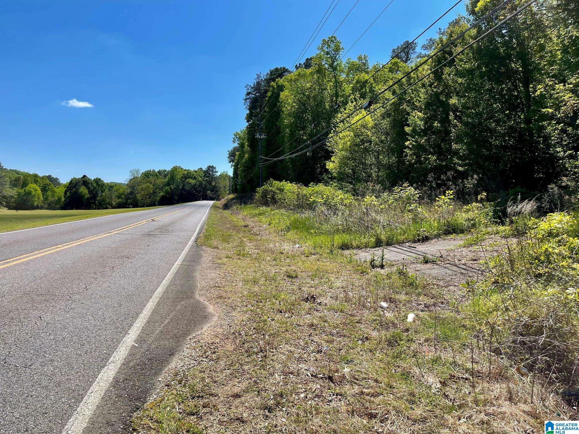 7228 OLD SPRINGVILLE ROAD 0