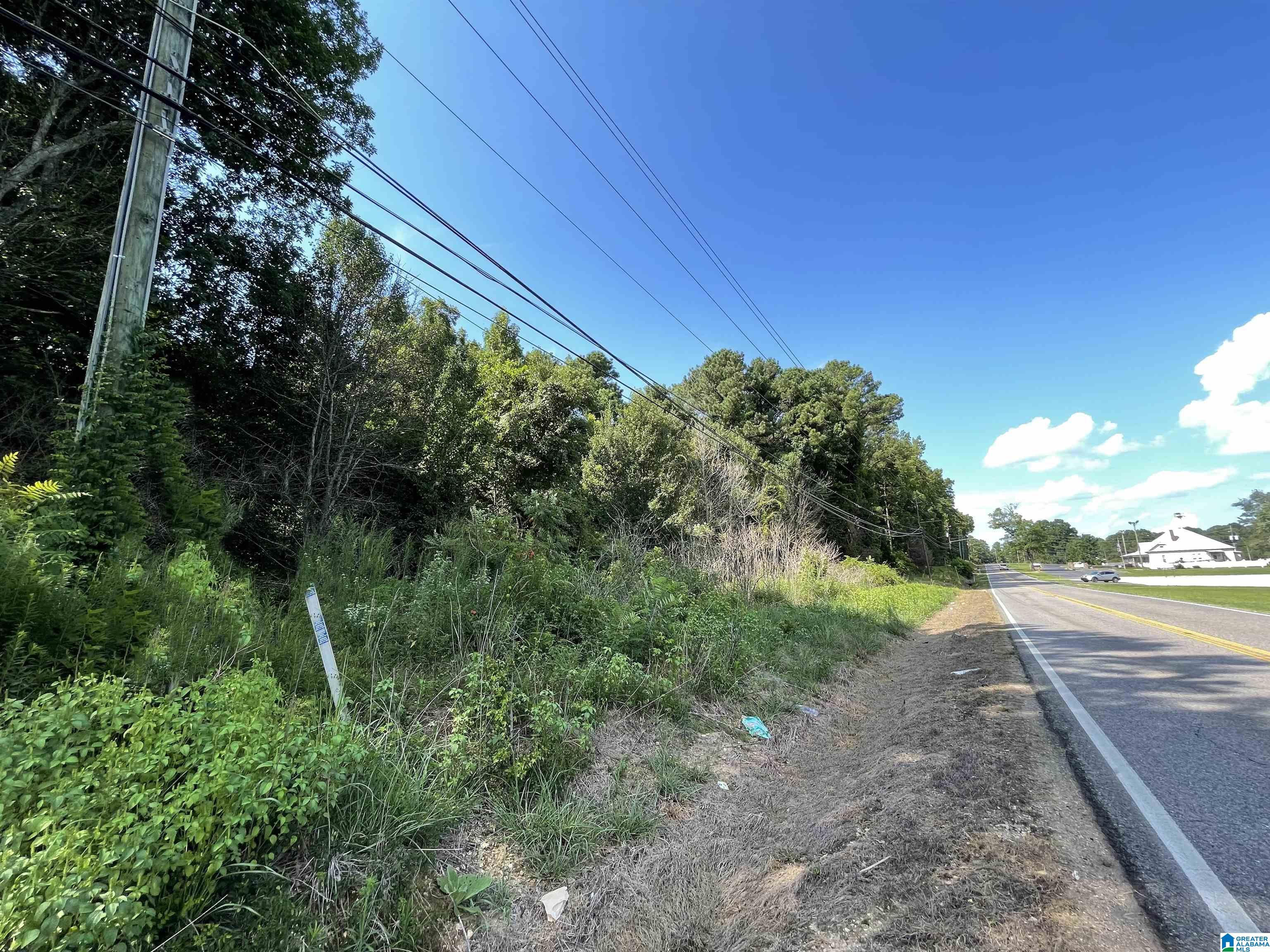 7228 OLD SPRINGVILLE ROAD 0