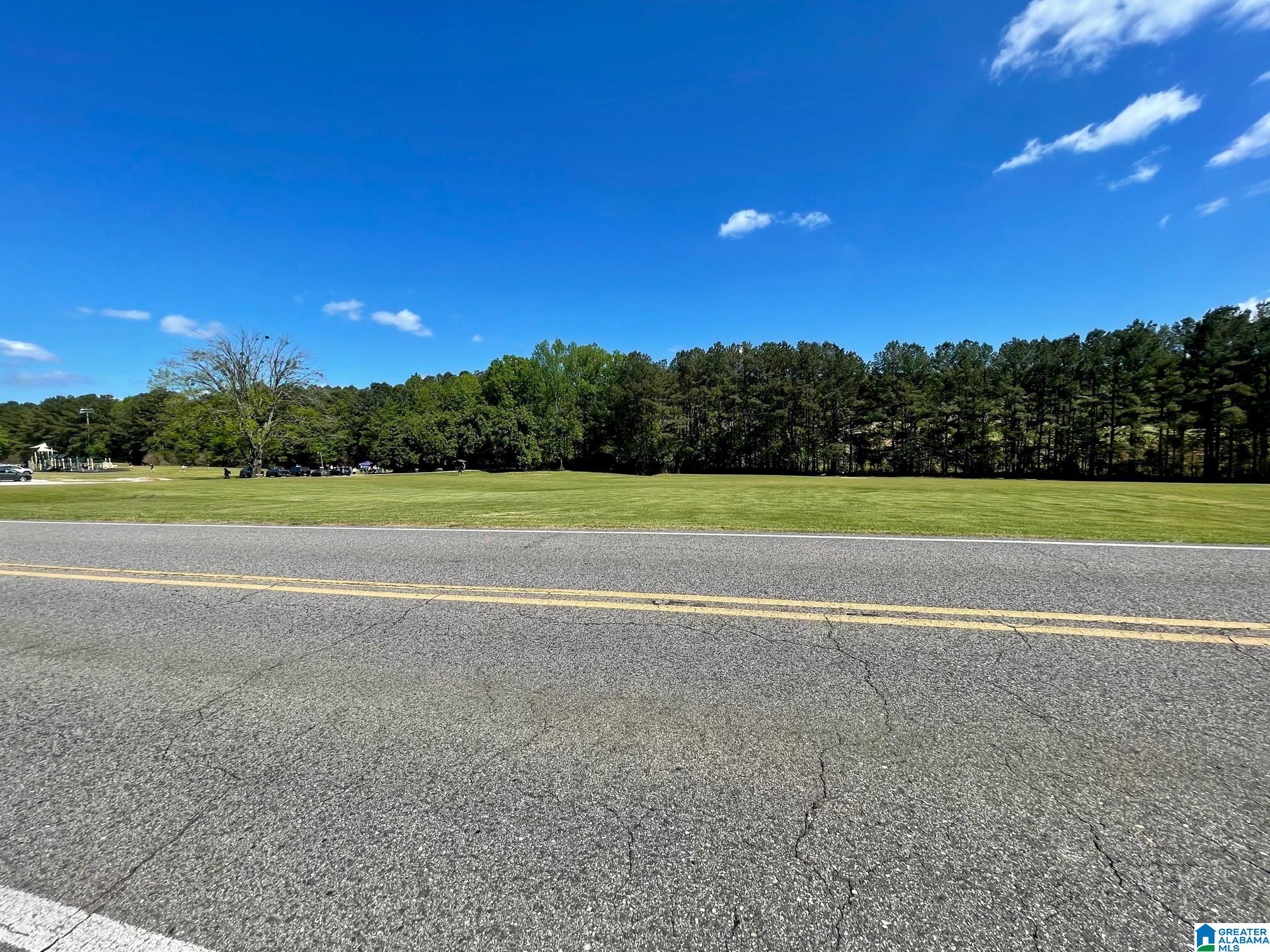 7228 OLD SPRINGVILLE ROAD 0