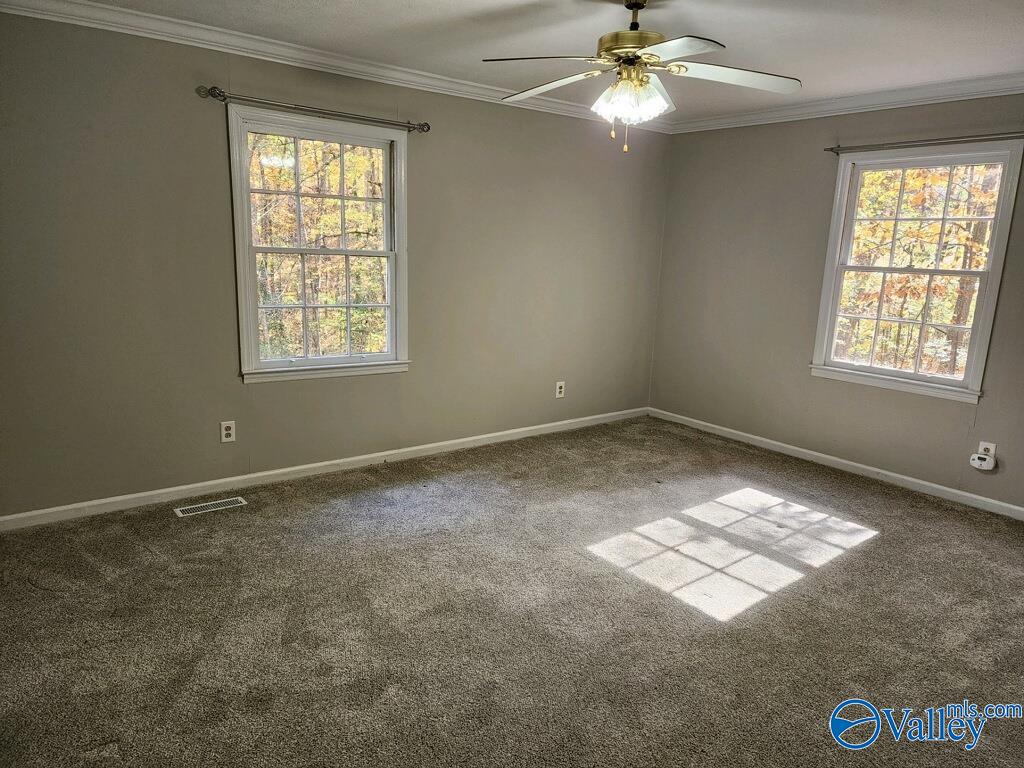 132 Bridlewood Drive