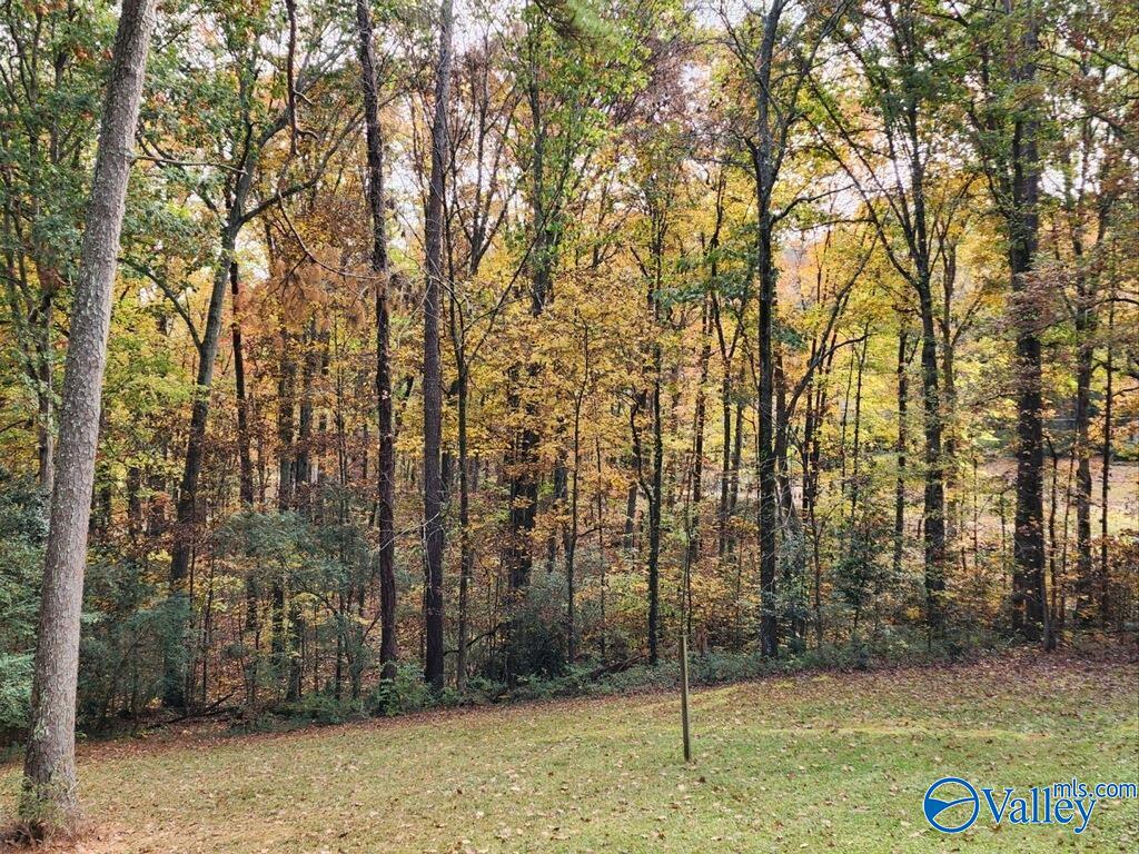 132 Bridlewood Drive